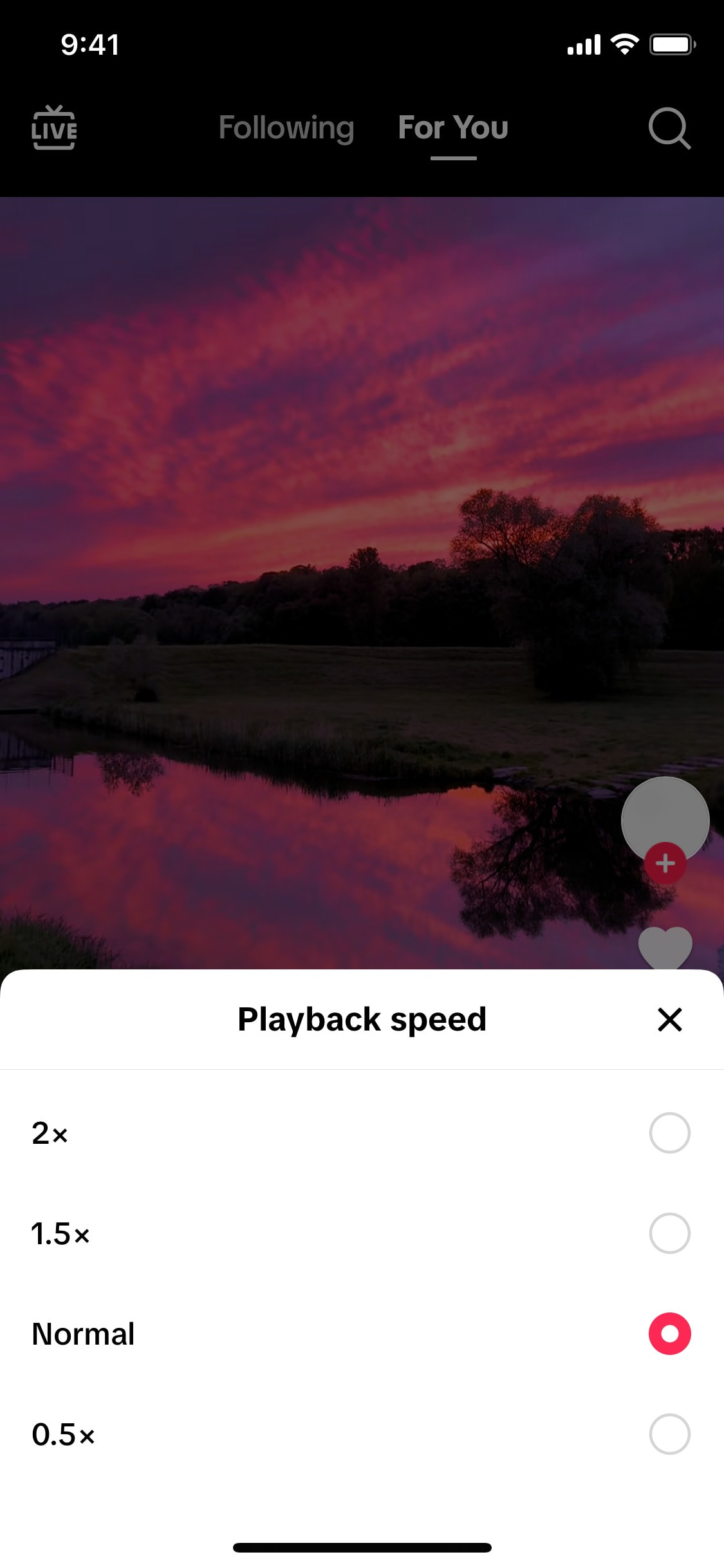 TikTok iOS screen 558