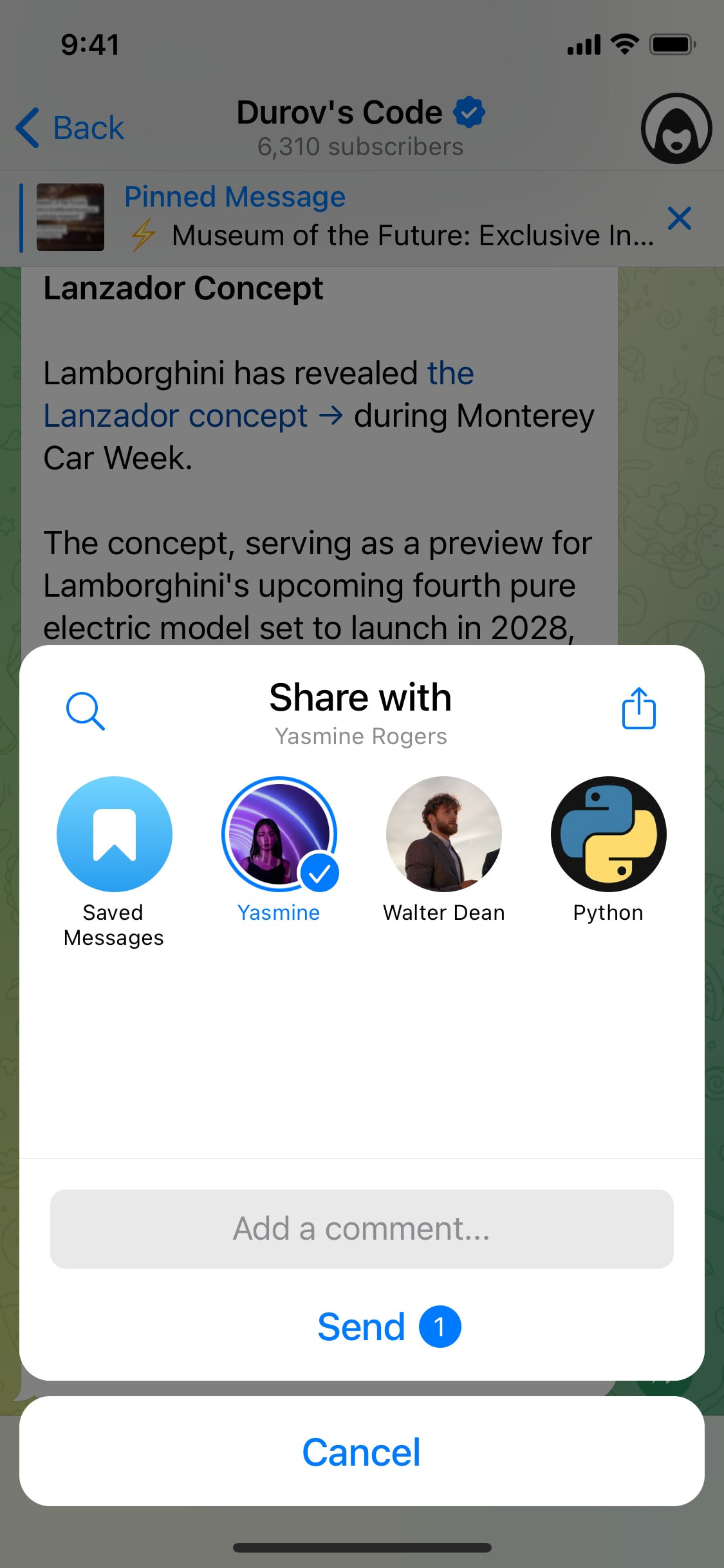 Telegram iOS screen 188