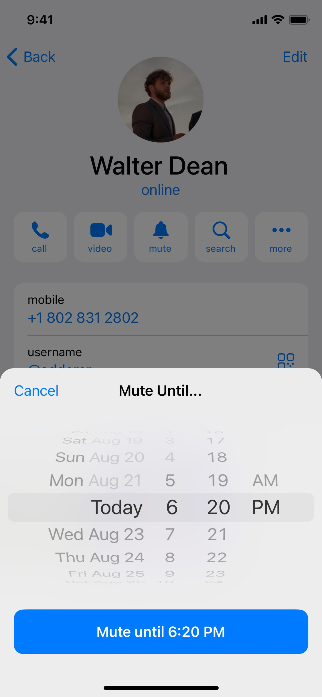 Telegram iOS screen 864