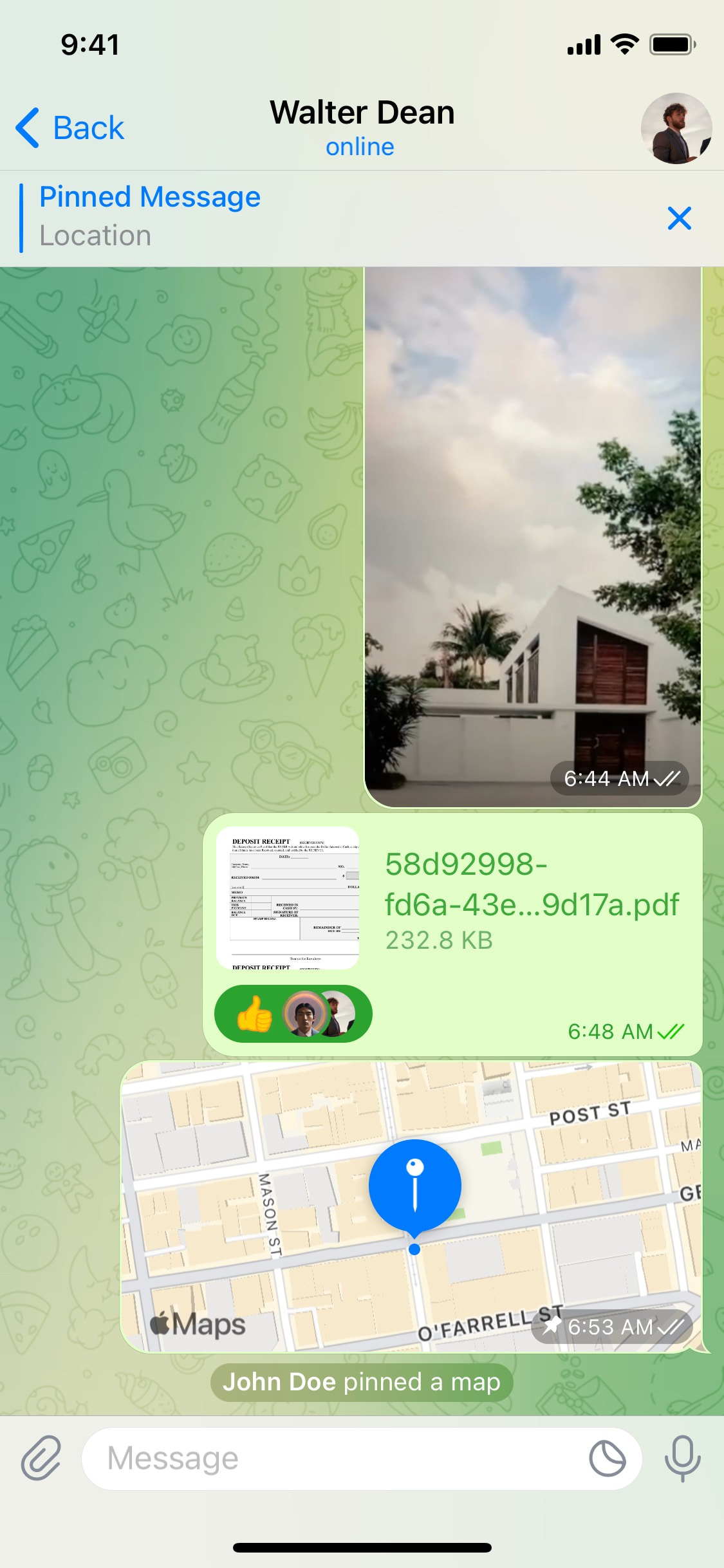 Telegram iOS screen 704