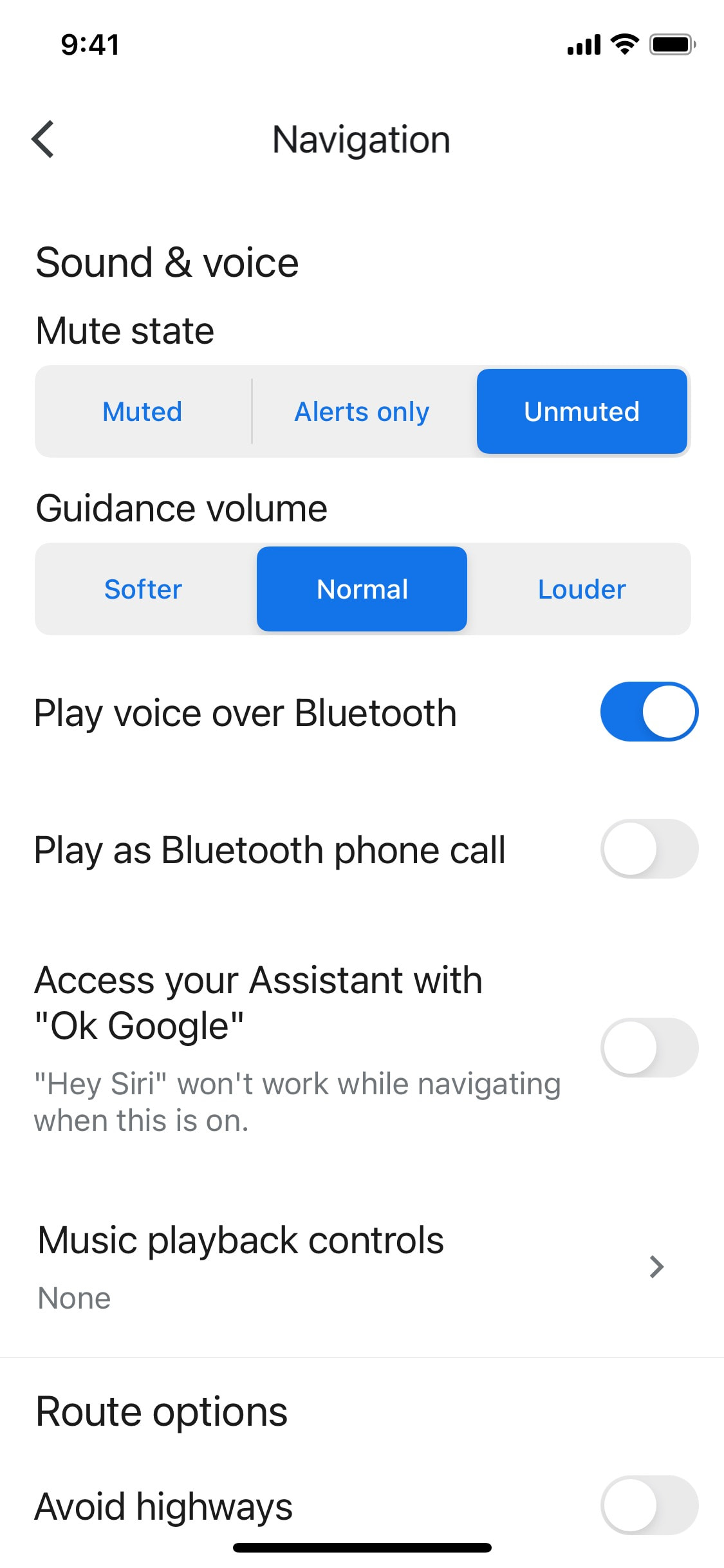 Google Maps iOS screen 19