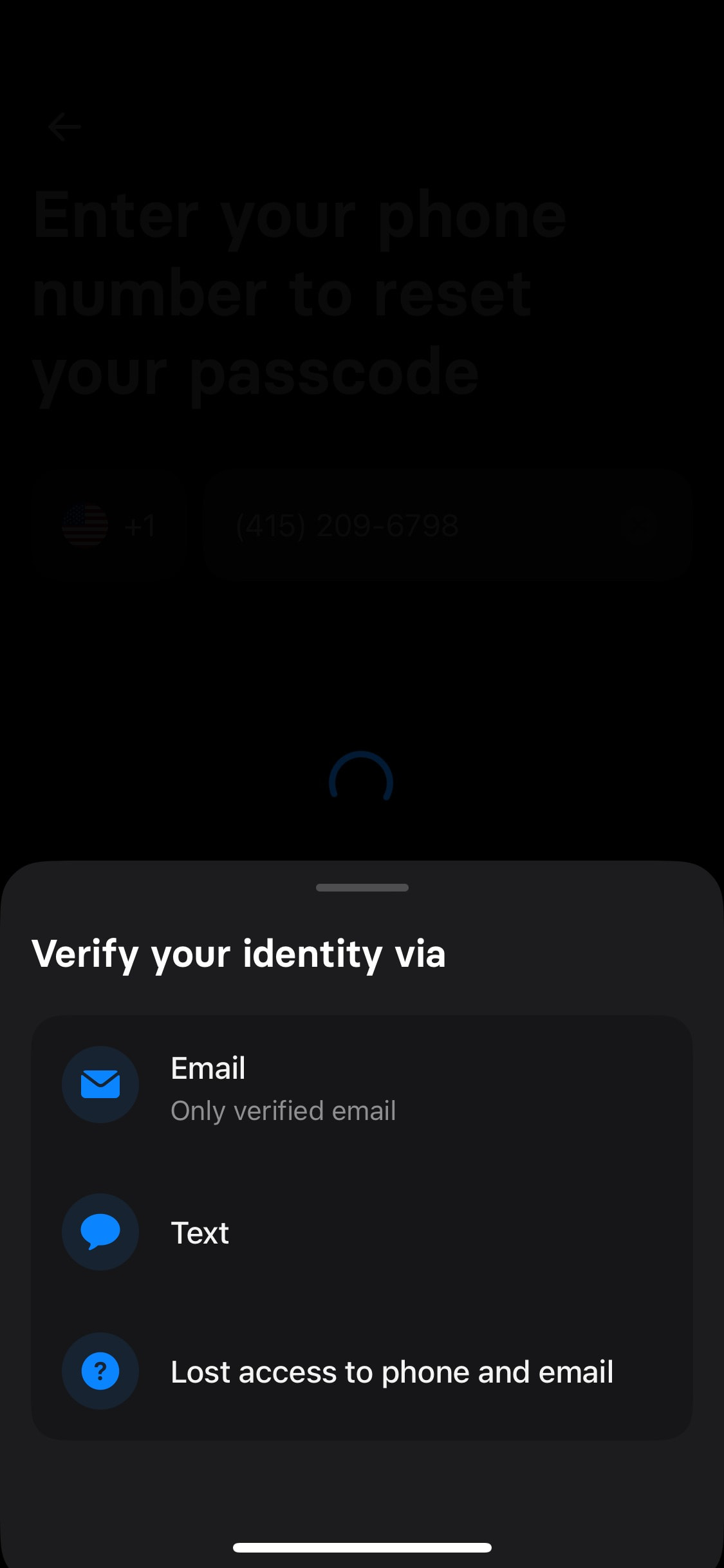 Revolut iOS screen 233