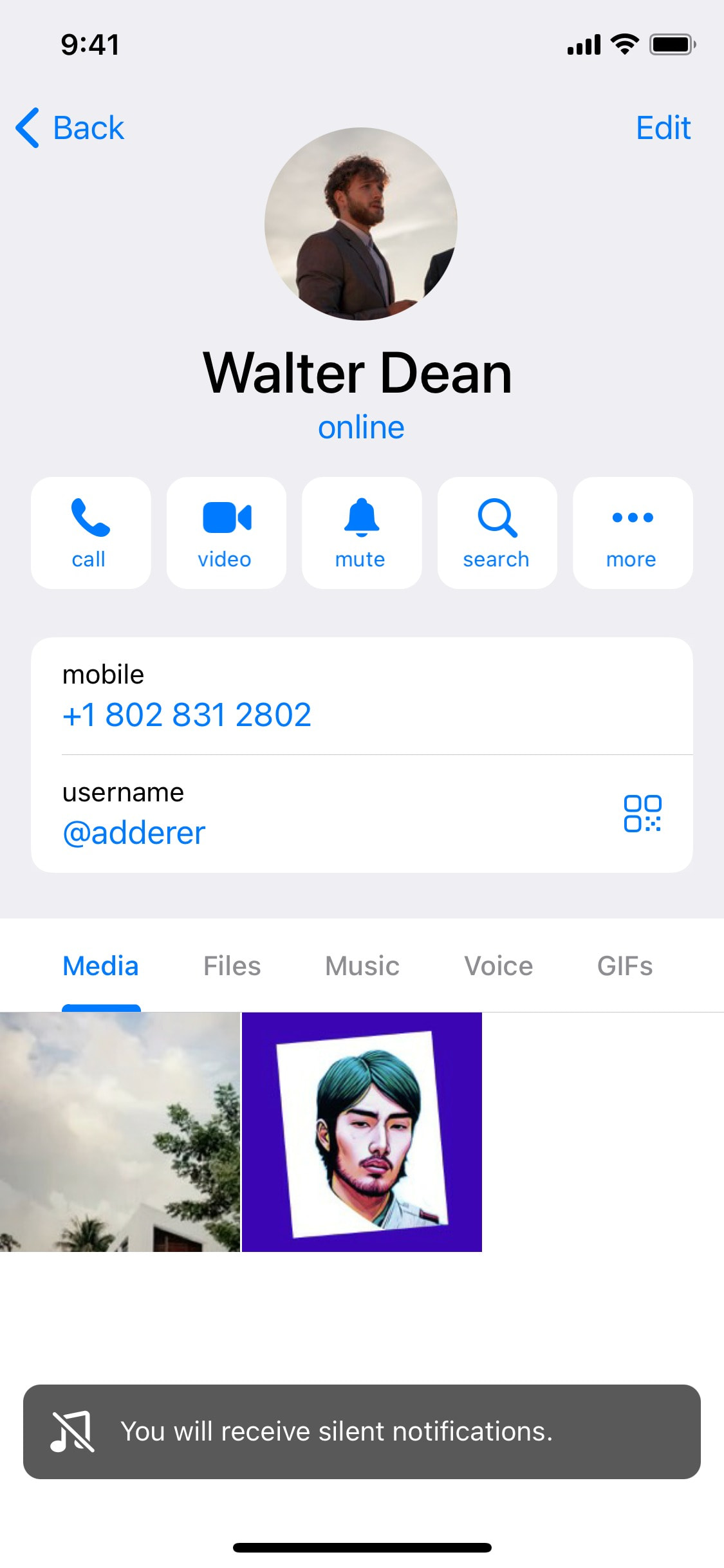 Telegram iOS screen 397
