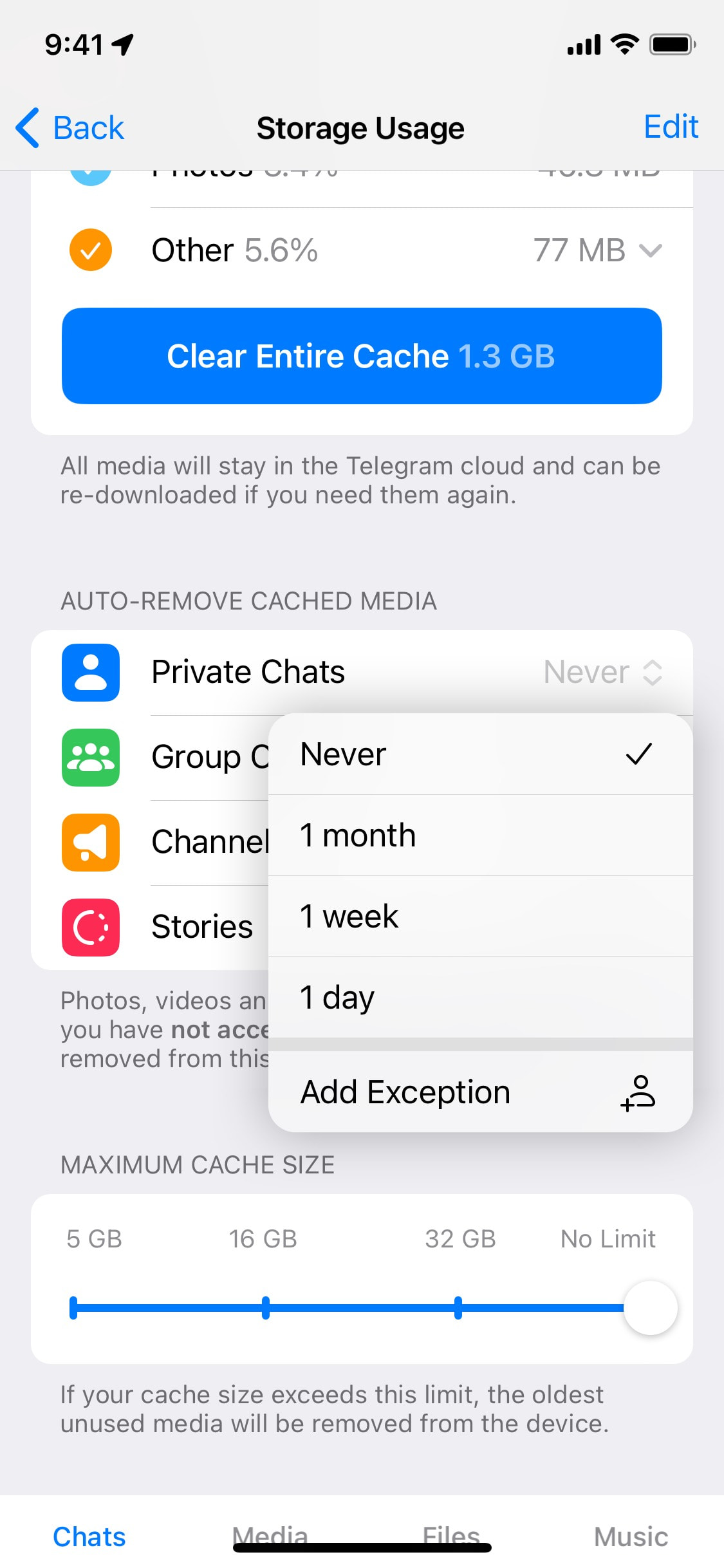 Telegram iOS screen 862