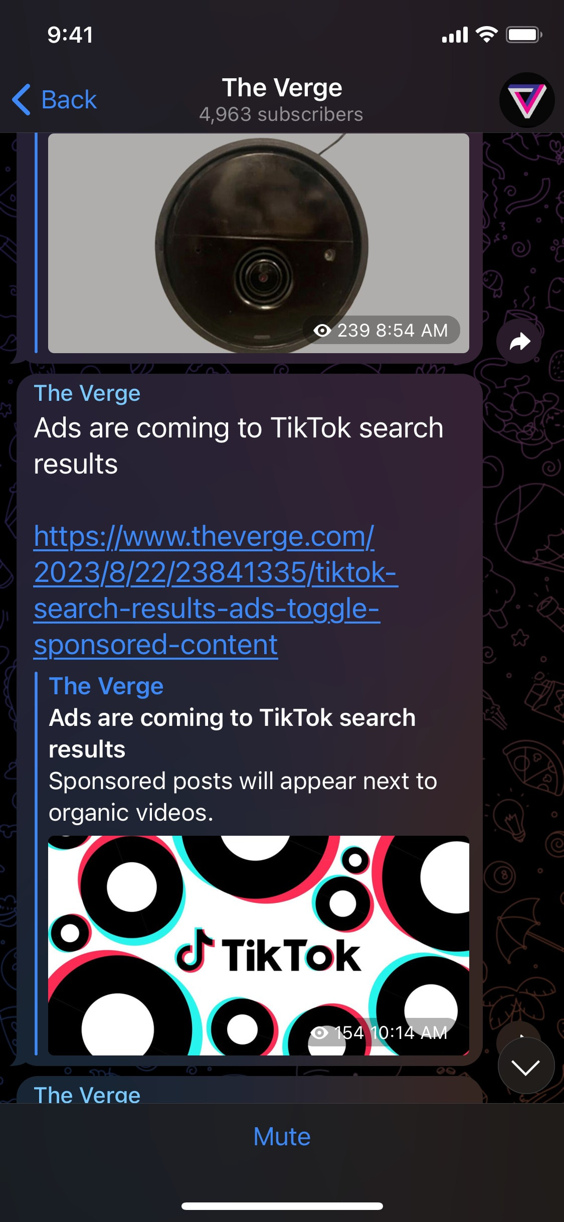 Telegram iOS screen 317