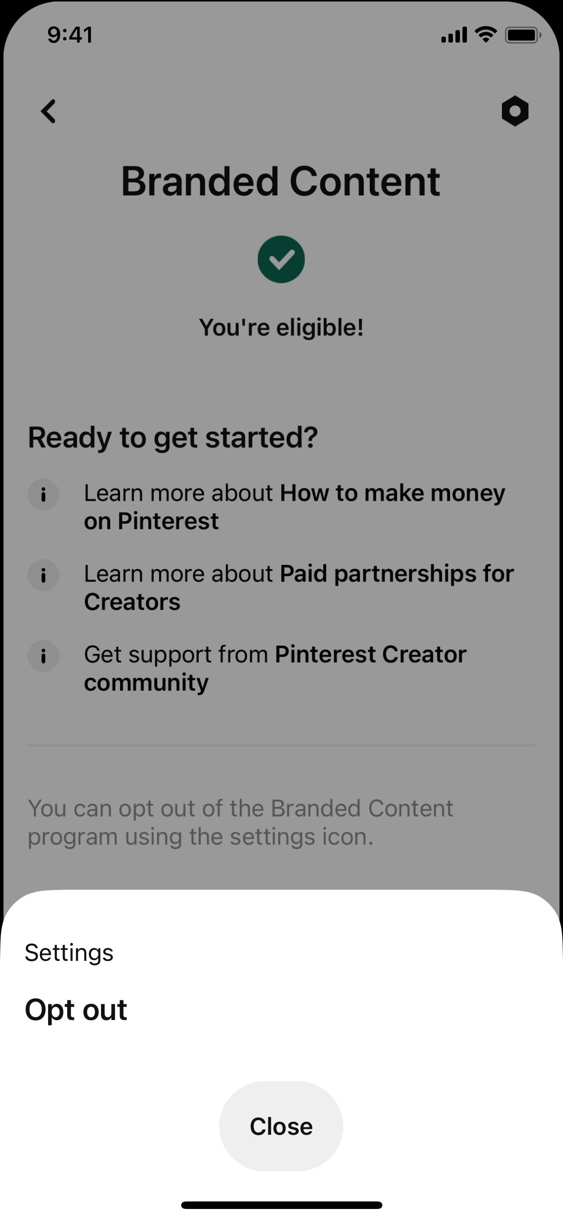 Pinterest iOS screen 246
