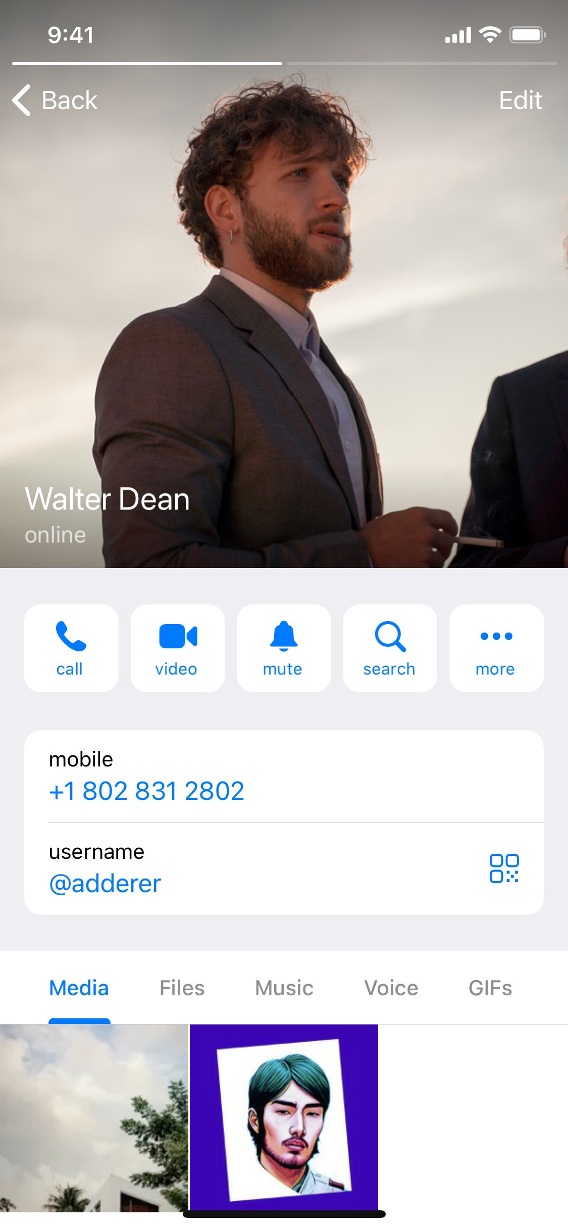 Telegram iOS screen 869