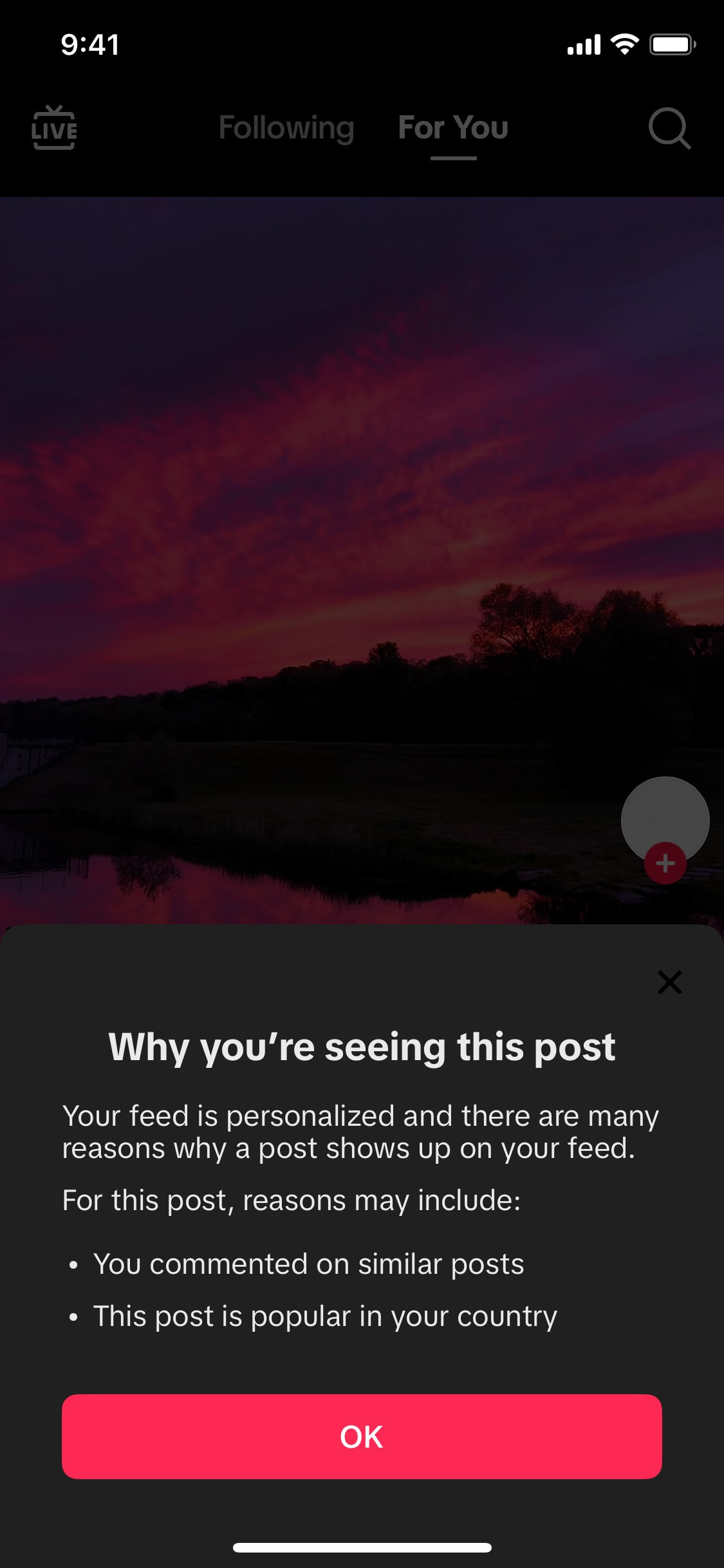 TikTok iOS screen 508