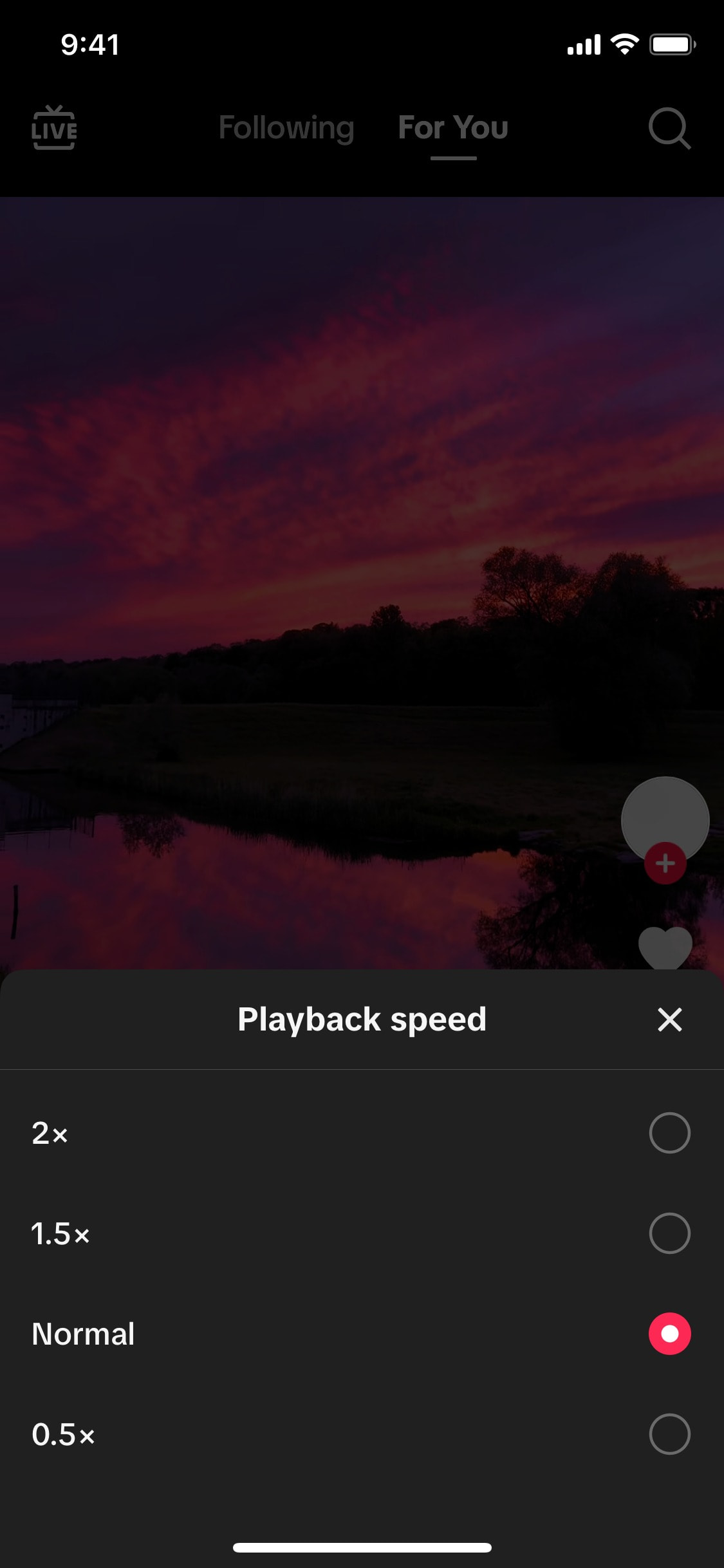 TikTok iOS screen 152