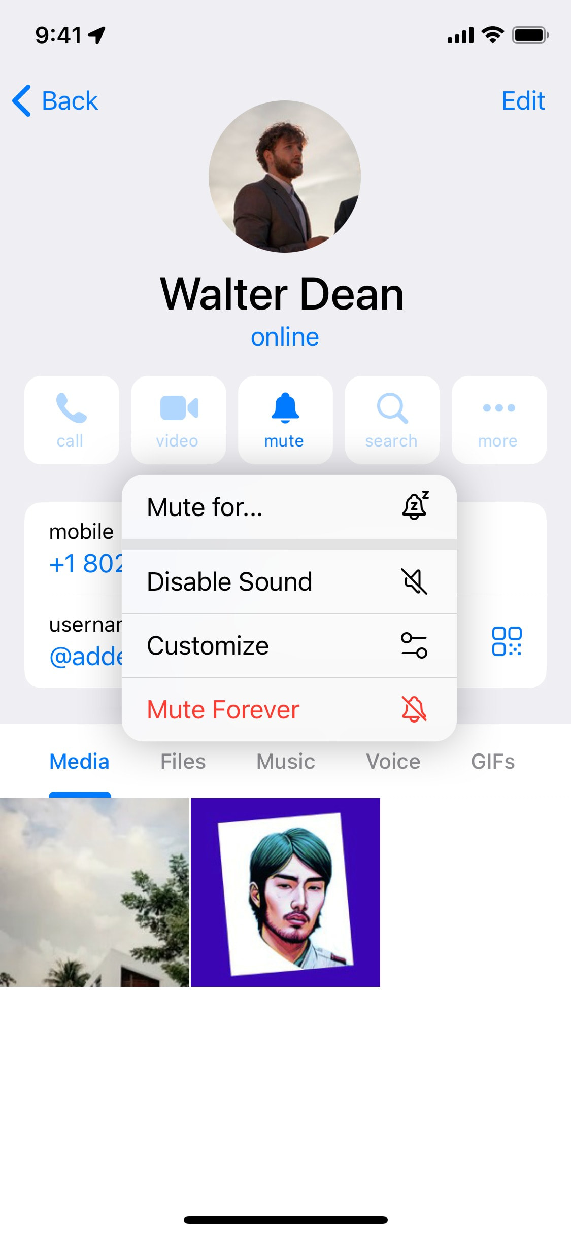 Telegram iOS screen 680