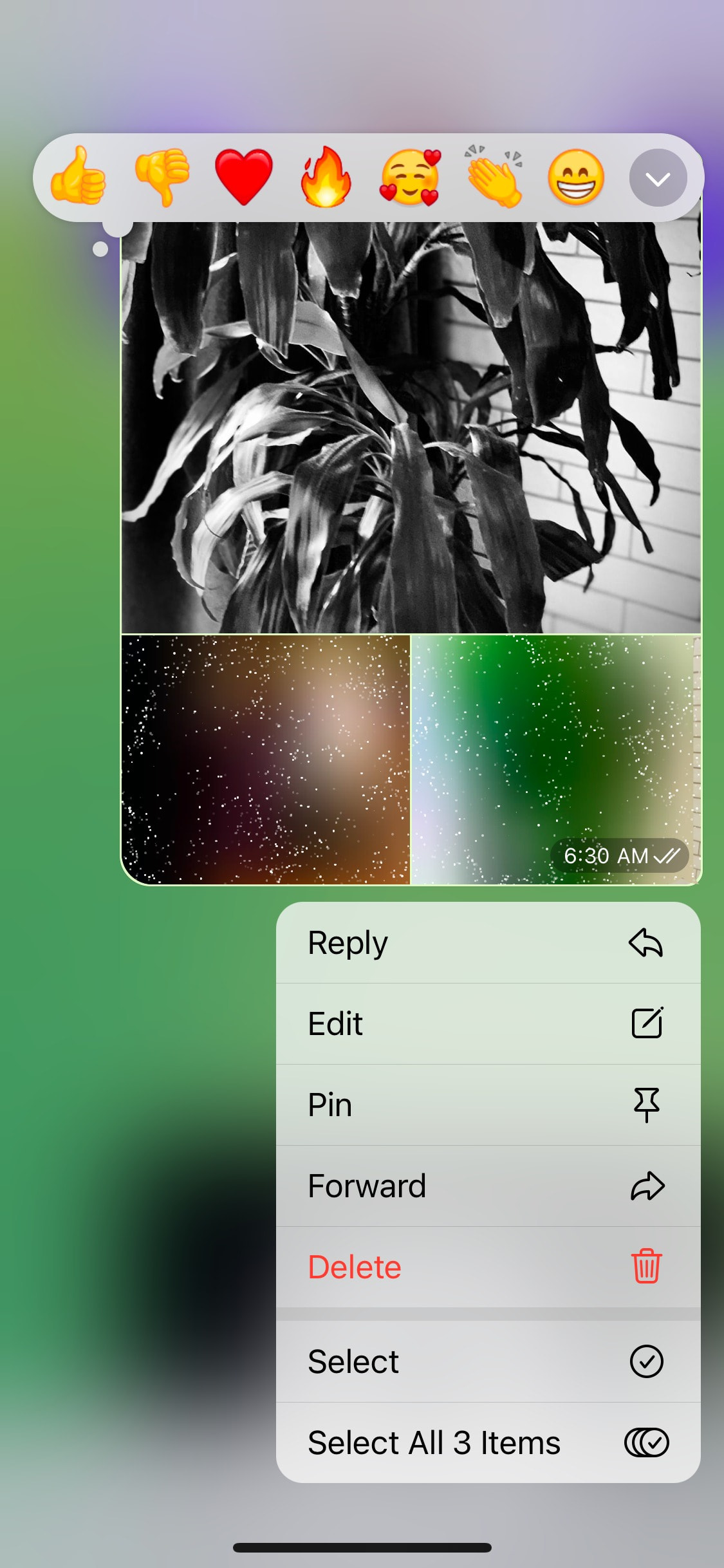 Telegram iOS screen 761