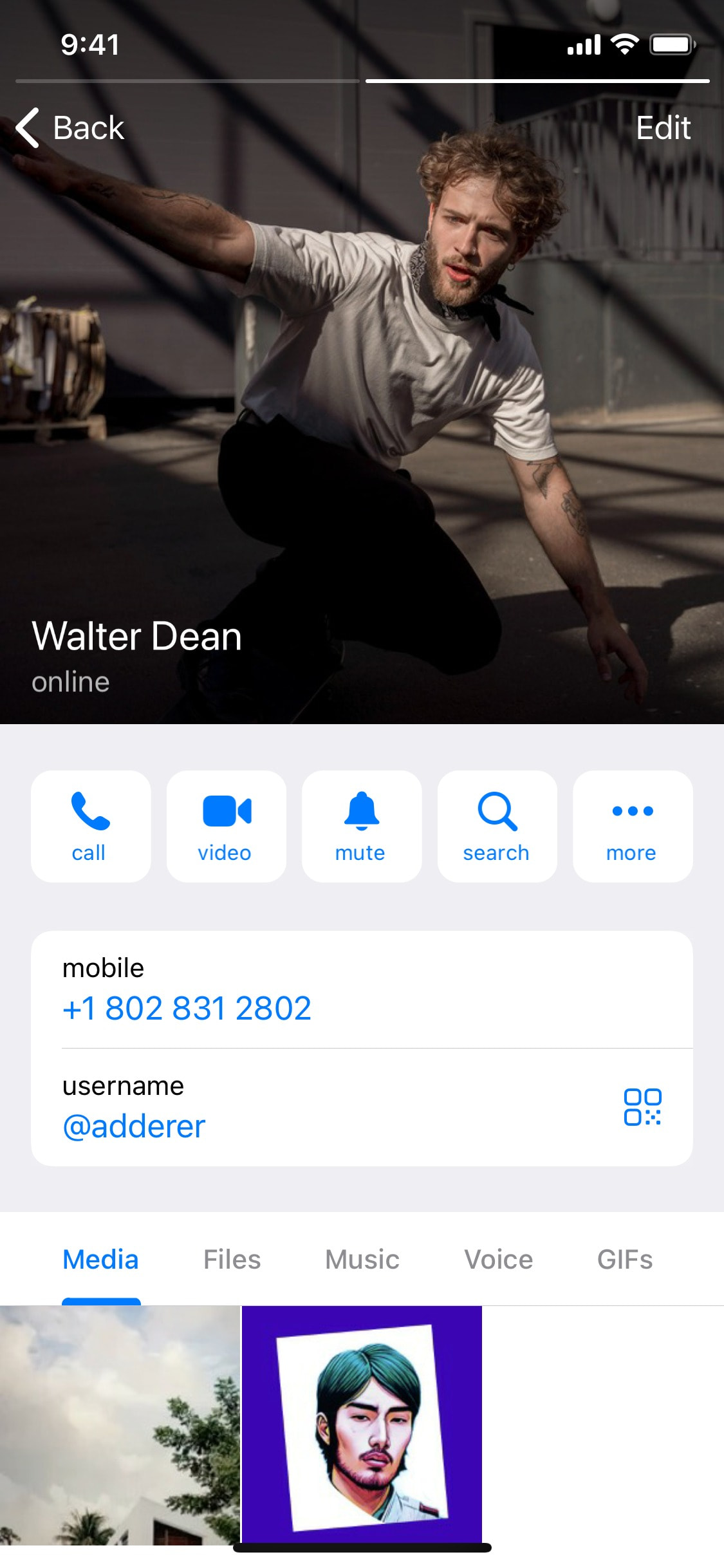 Telegram iOS screen 165