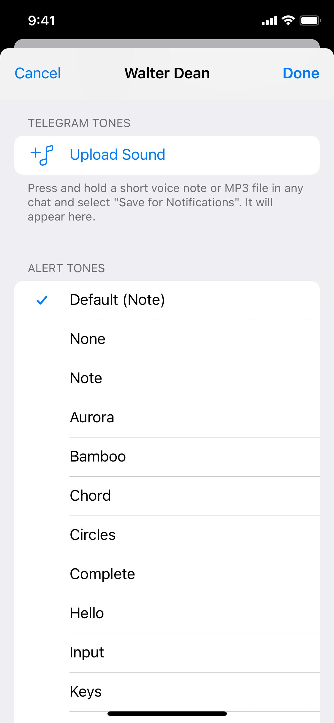 Telegram iOS screen 119