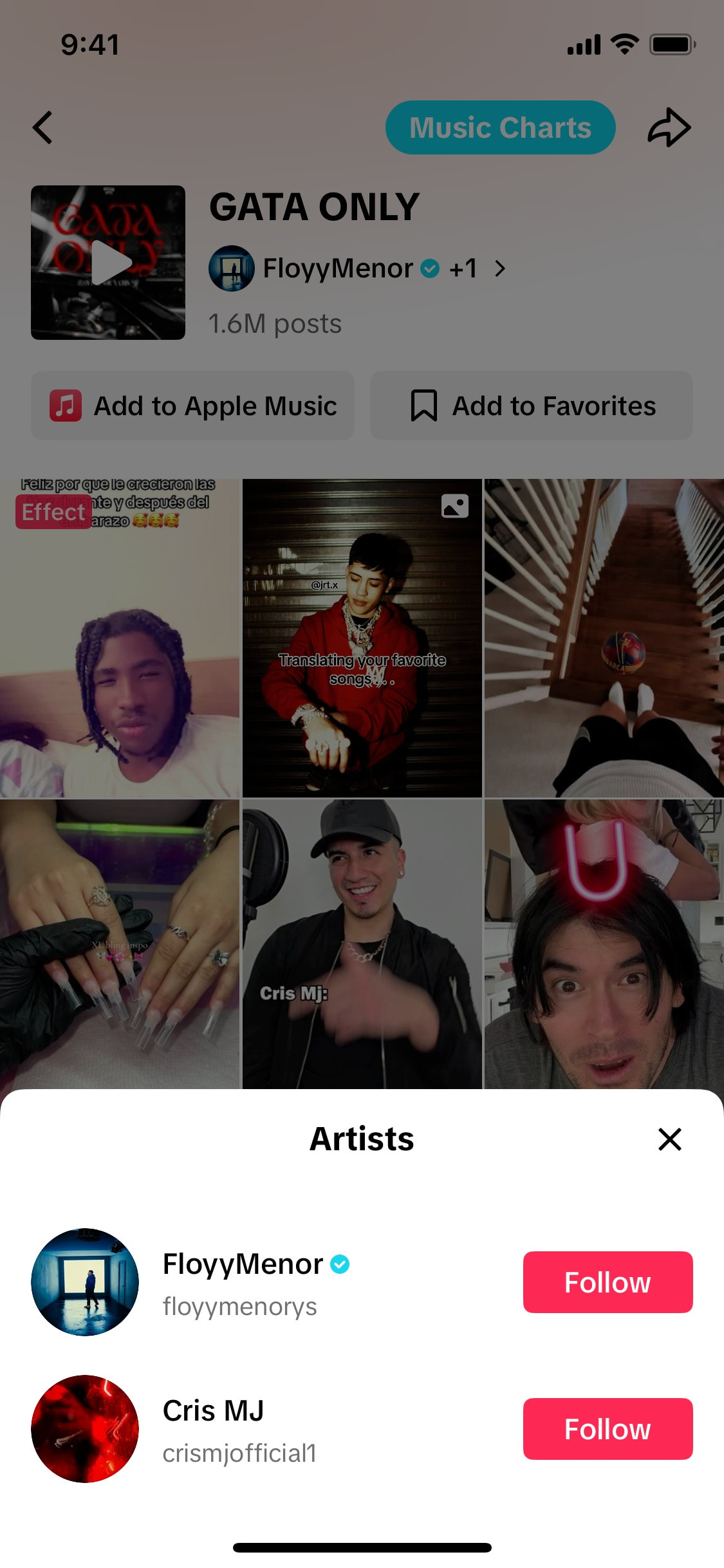 TikTok iOS screen 556