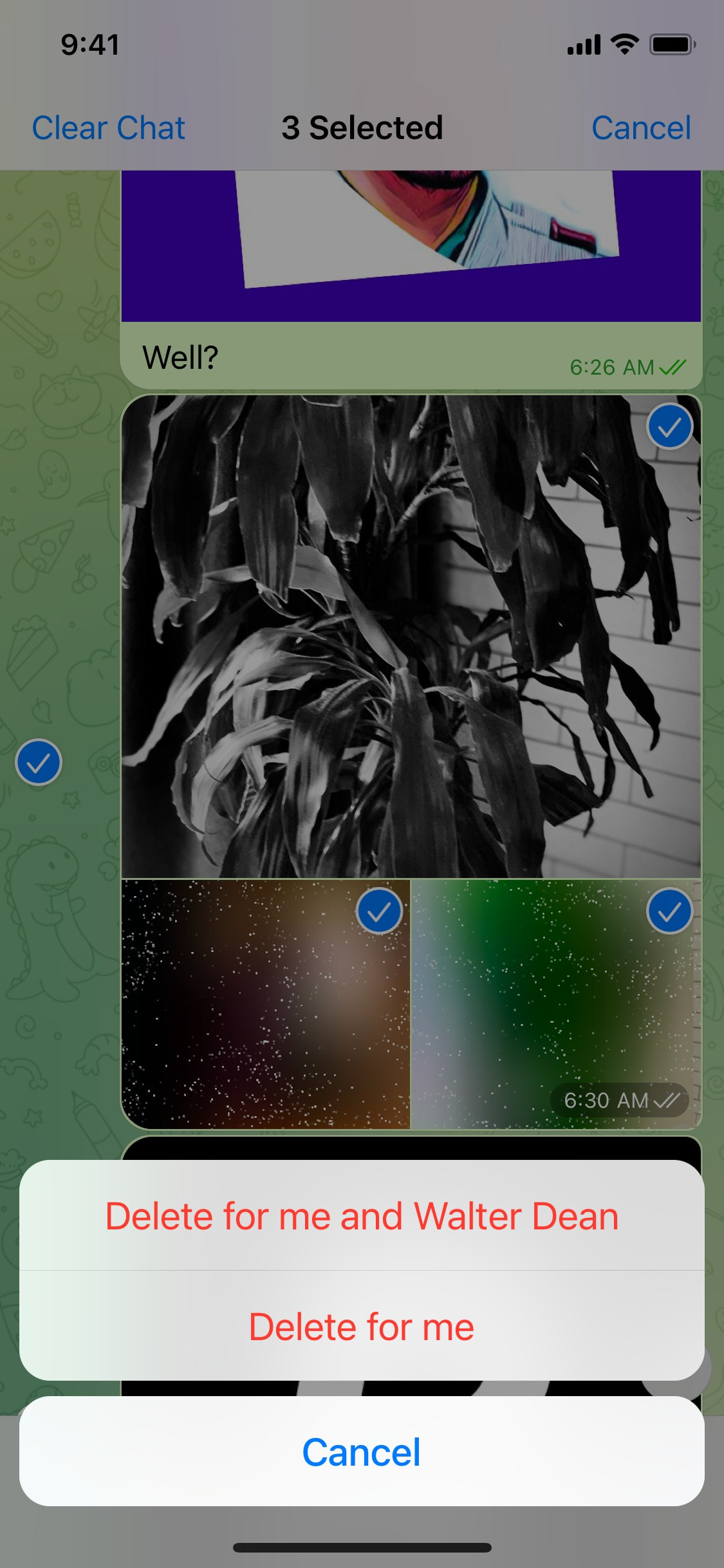 Telegram iOS screen 762