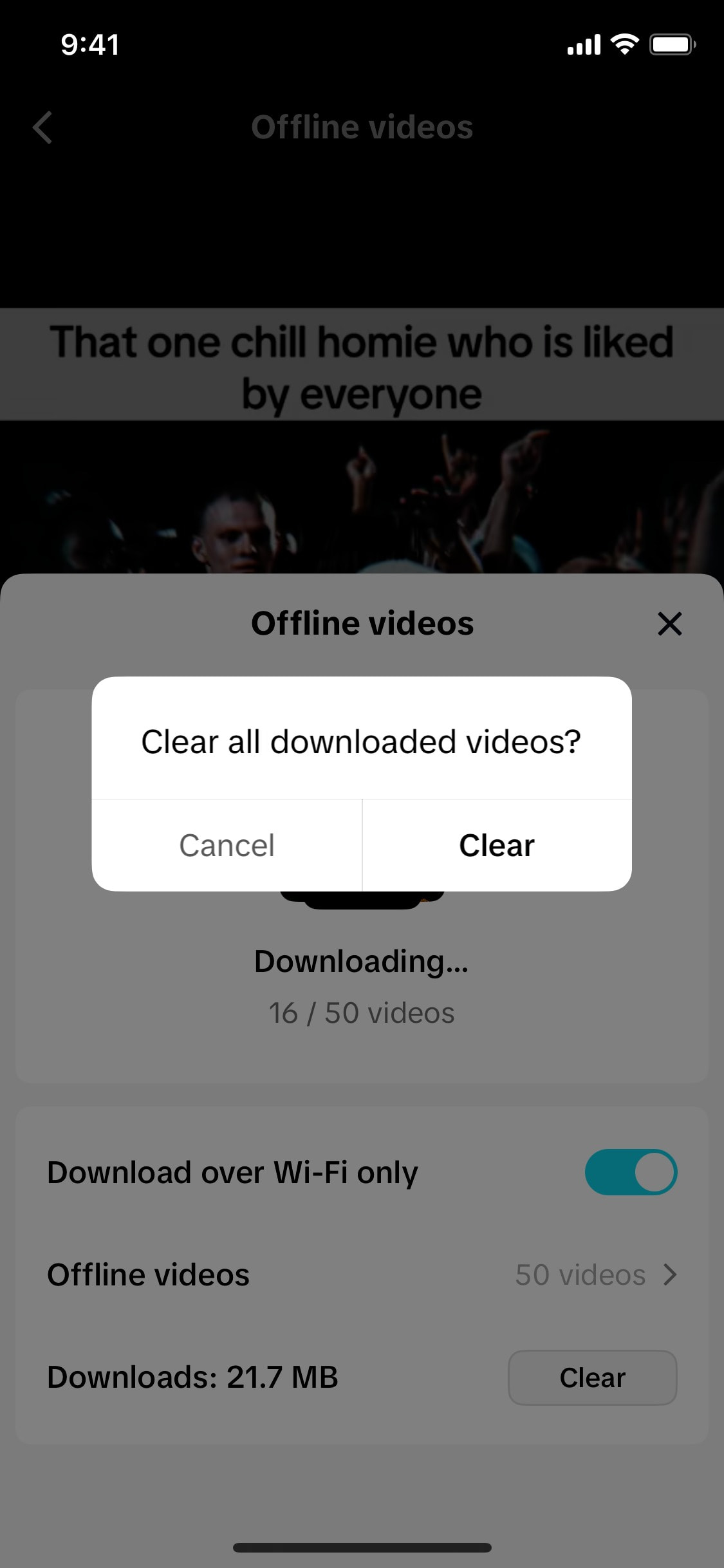 TikTok iOS screen 293