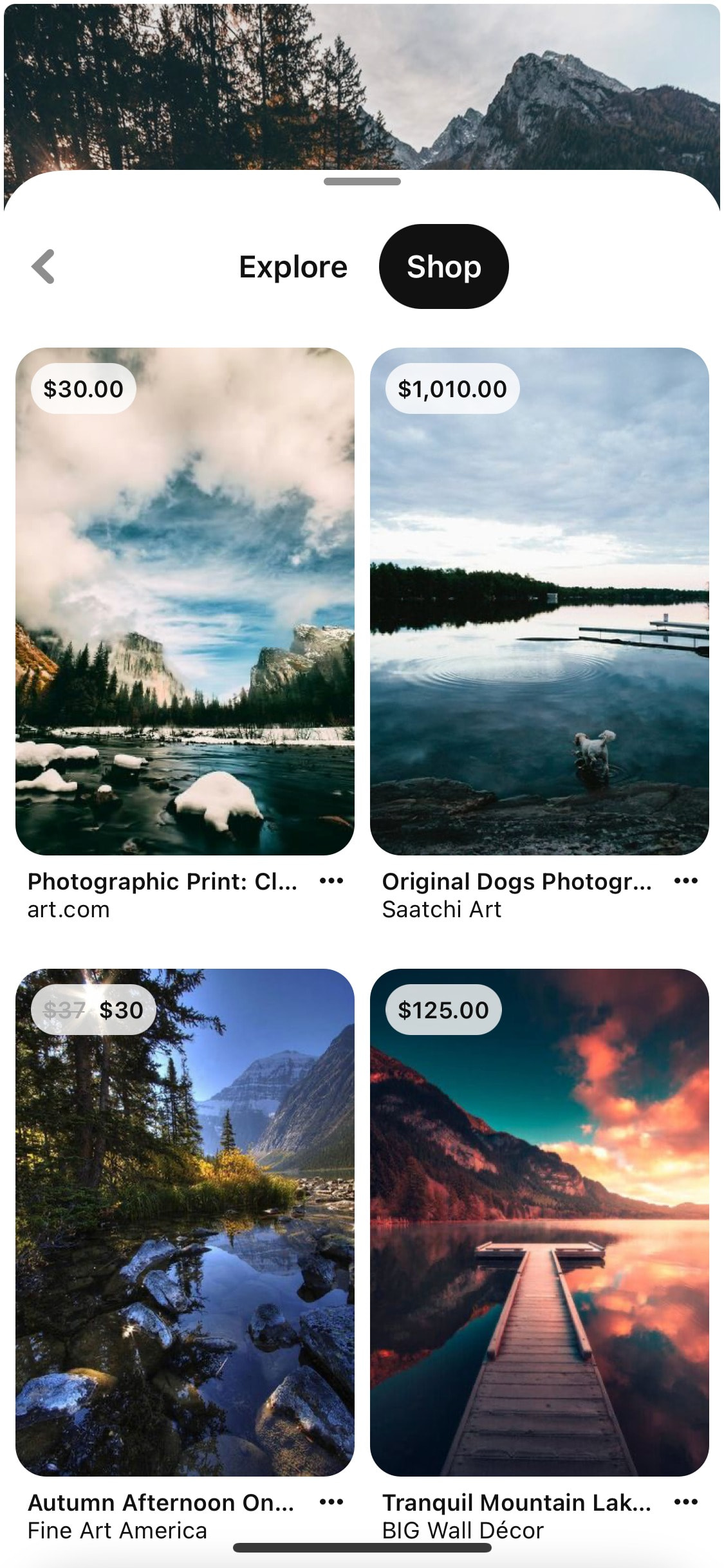 Pinterest iOS screen 131