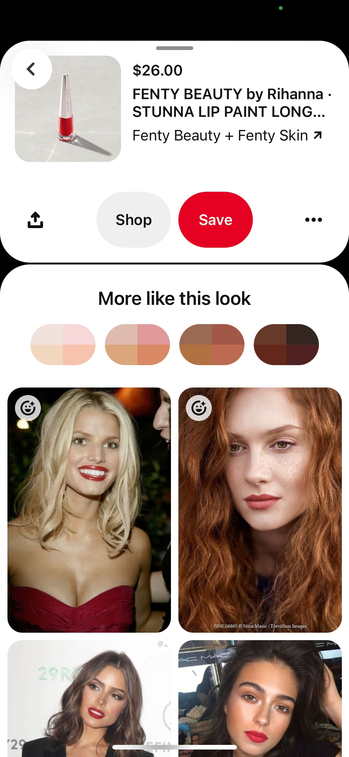 Pinterest iOS screen 198