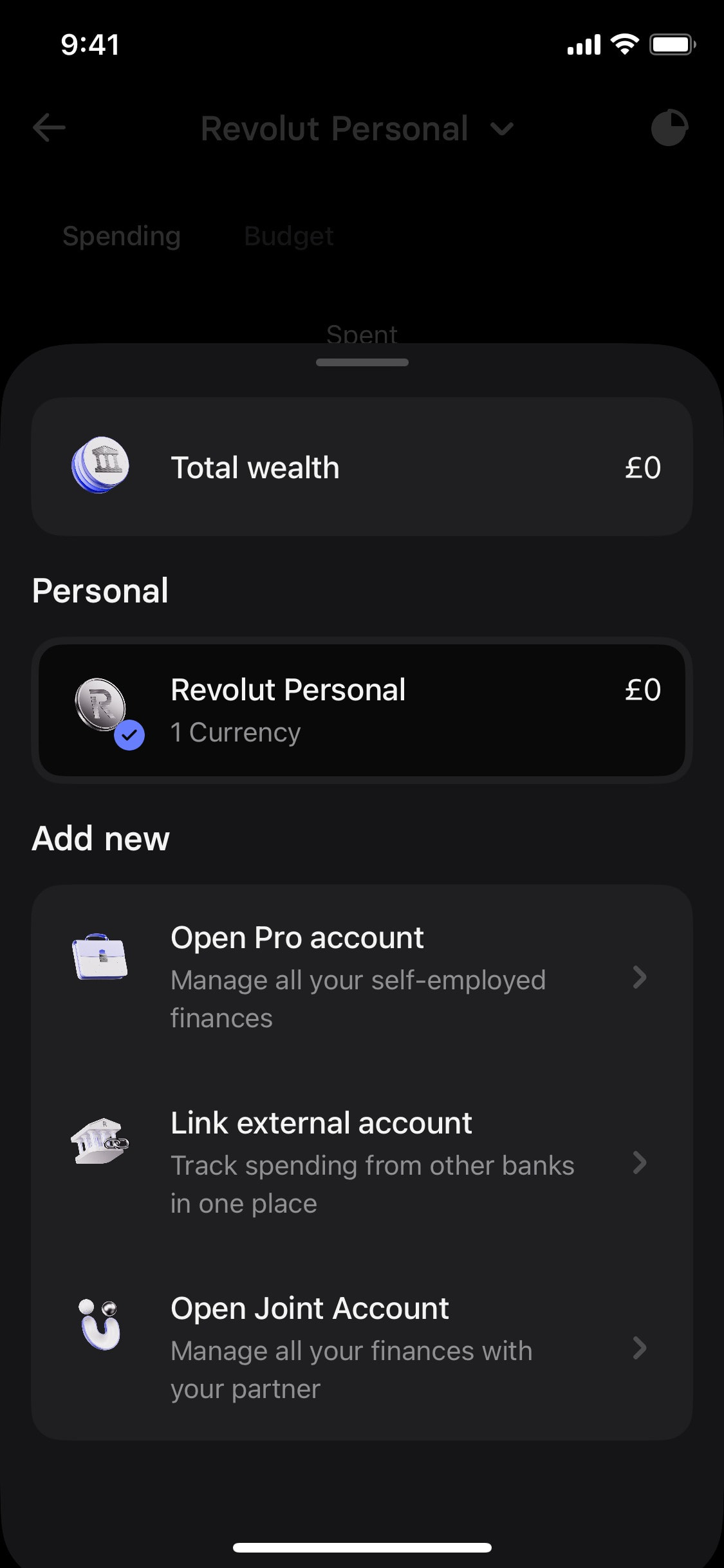 Revolut iOS screen 99