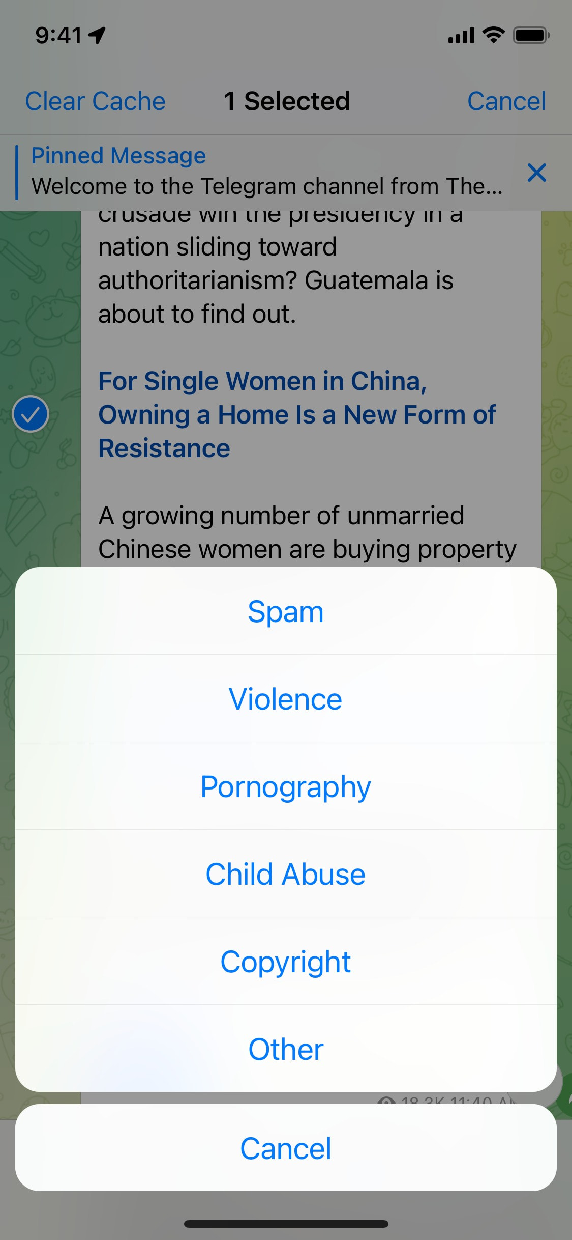 Telegram iOS screen 842