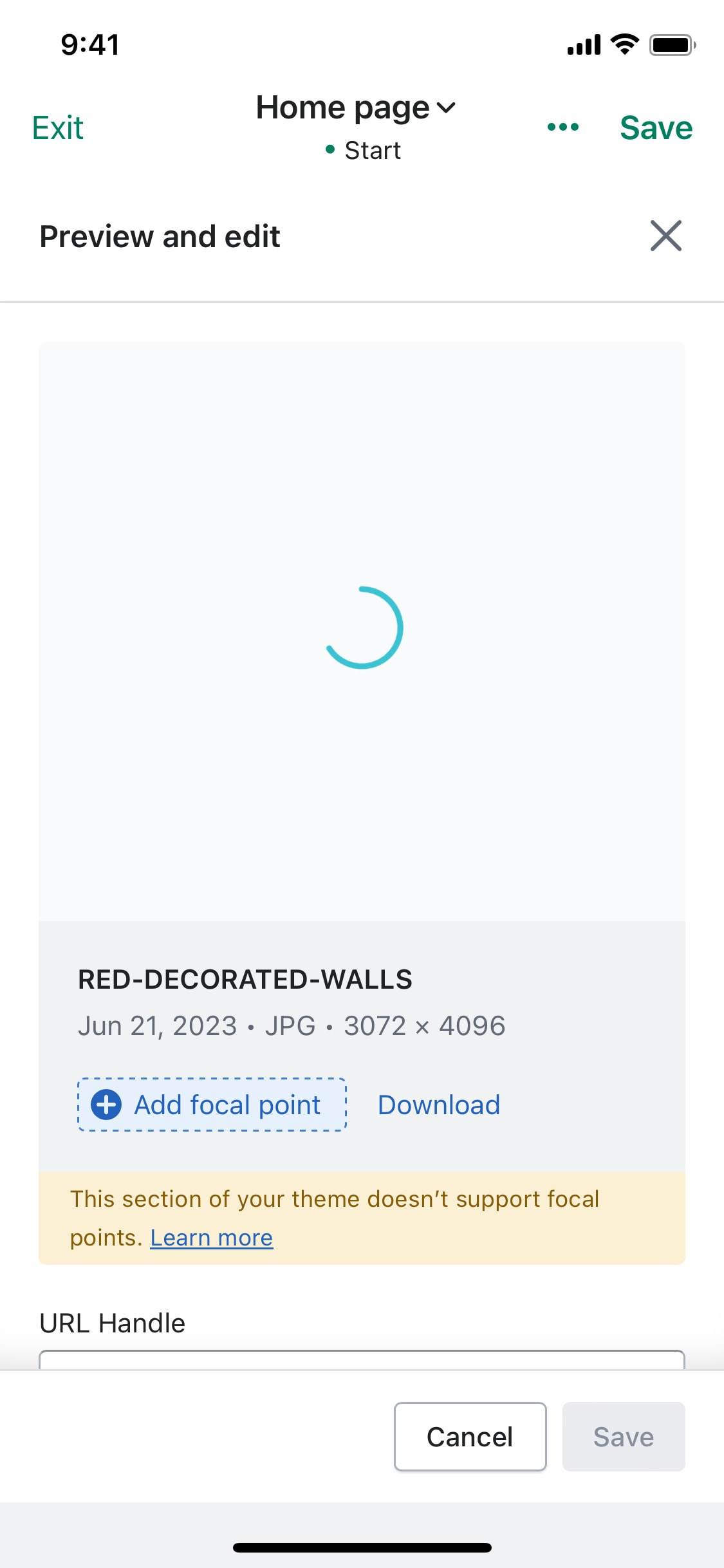 Shopify iOS screen 50