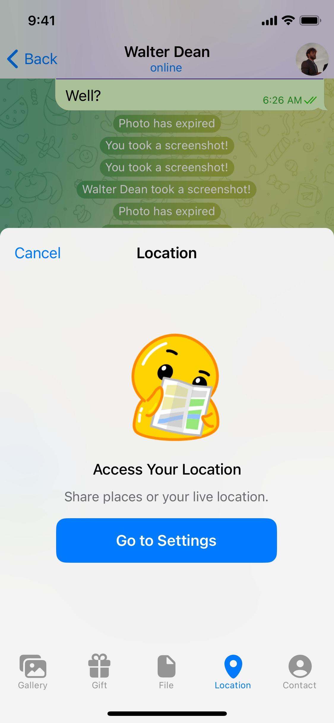 Telegram iOS screen 17