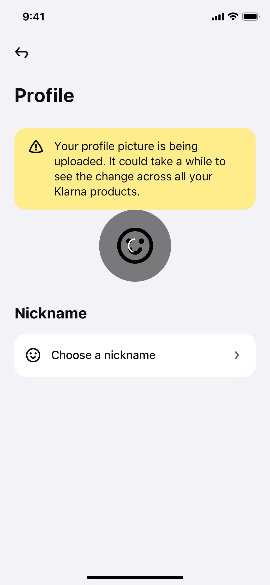 Klarna iOS screen 226