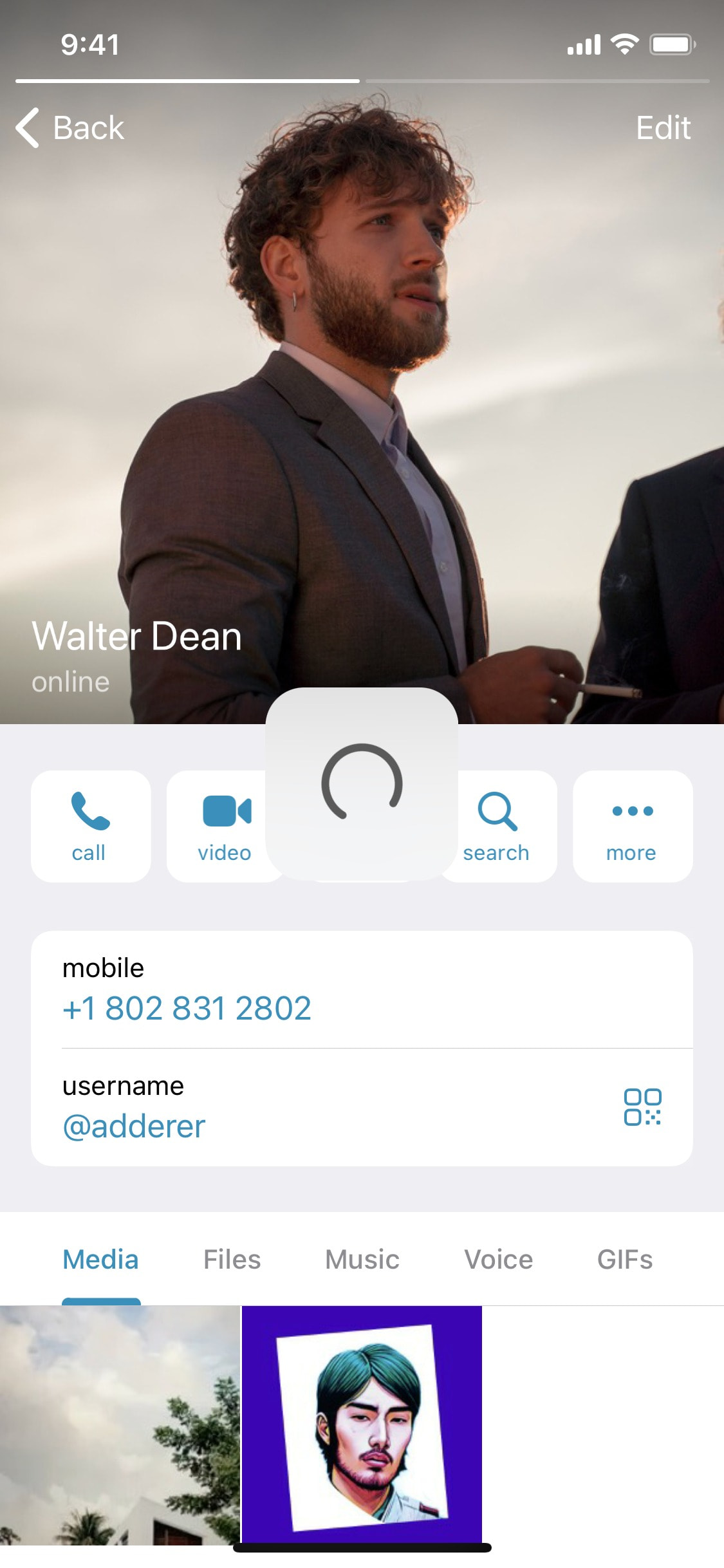 Telegram iOS screen 48
