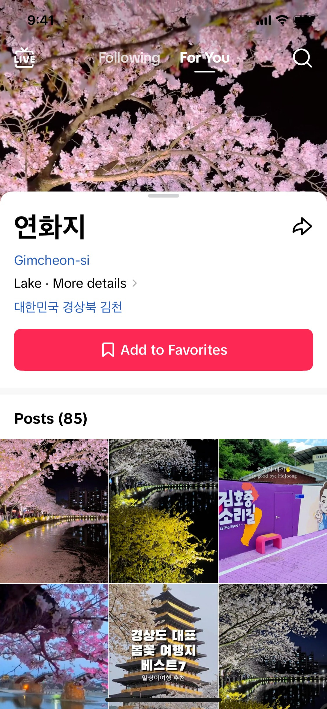 TikTok iOS screen 811