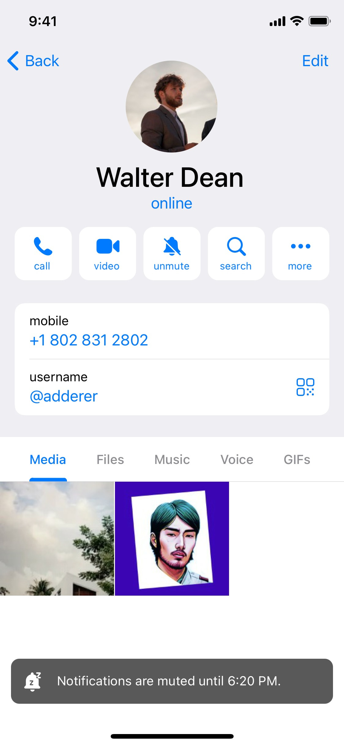 Telegram iOS screen 786