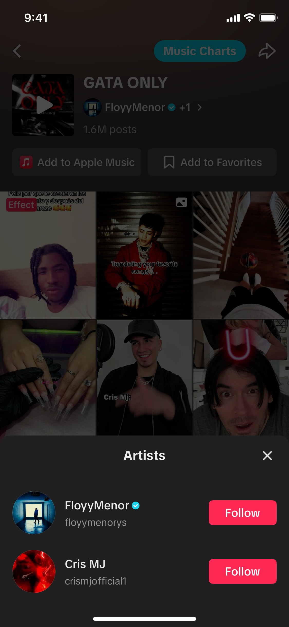 TikTok iOS screen 285