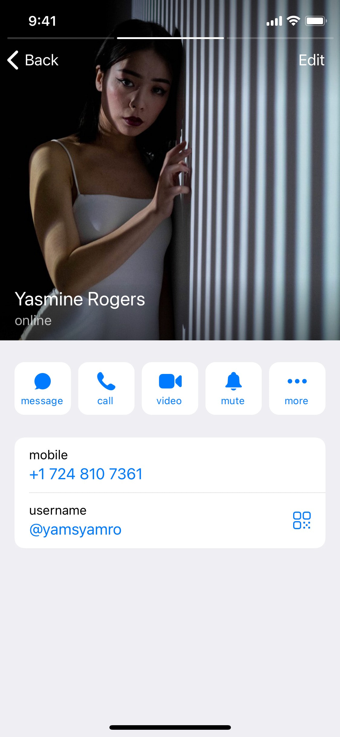 Telegram iOS screen 819