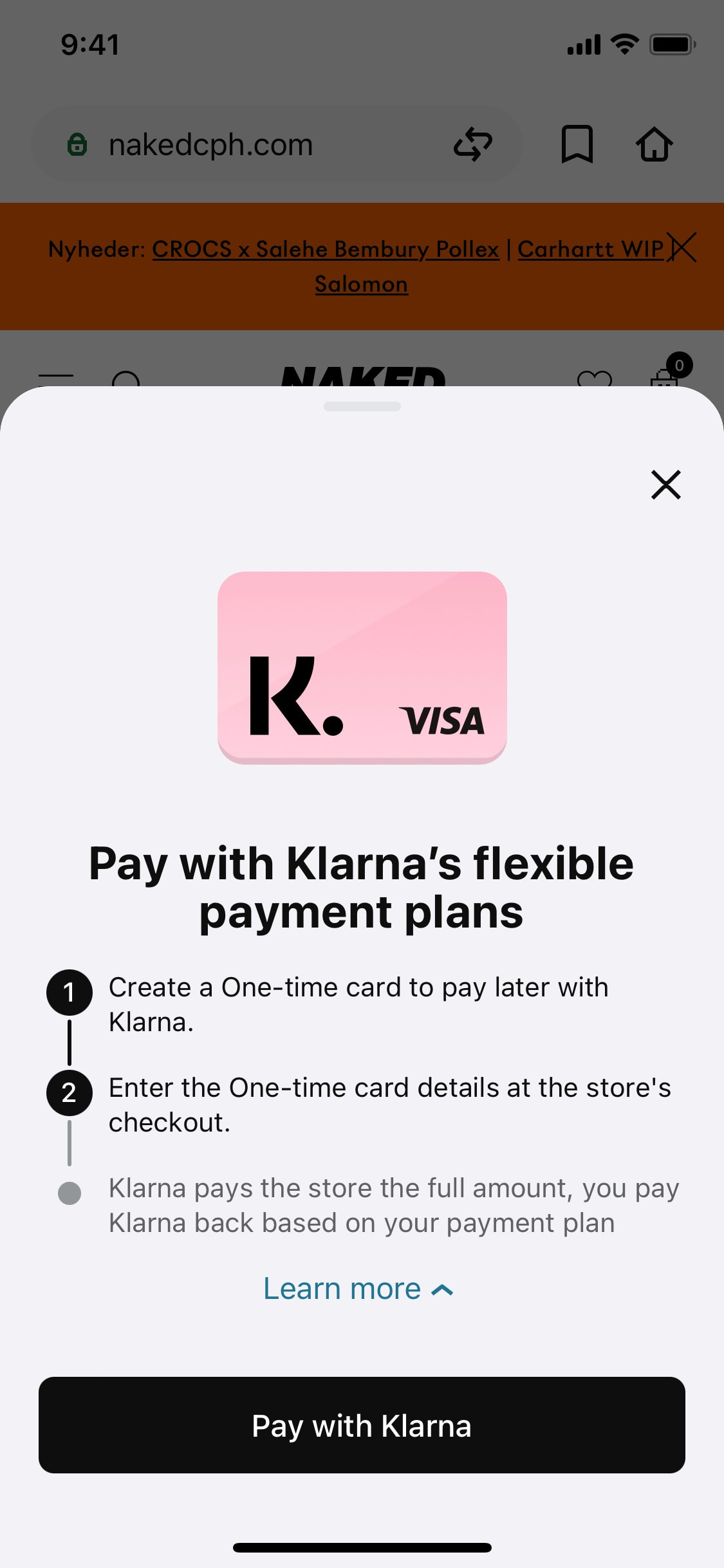 Klarna iOS screen 259