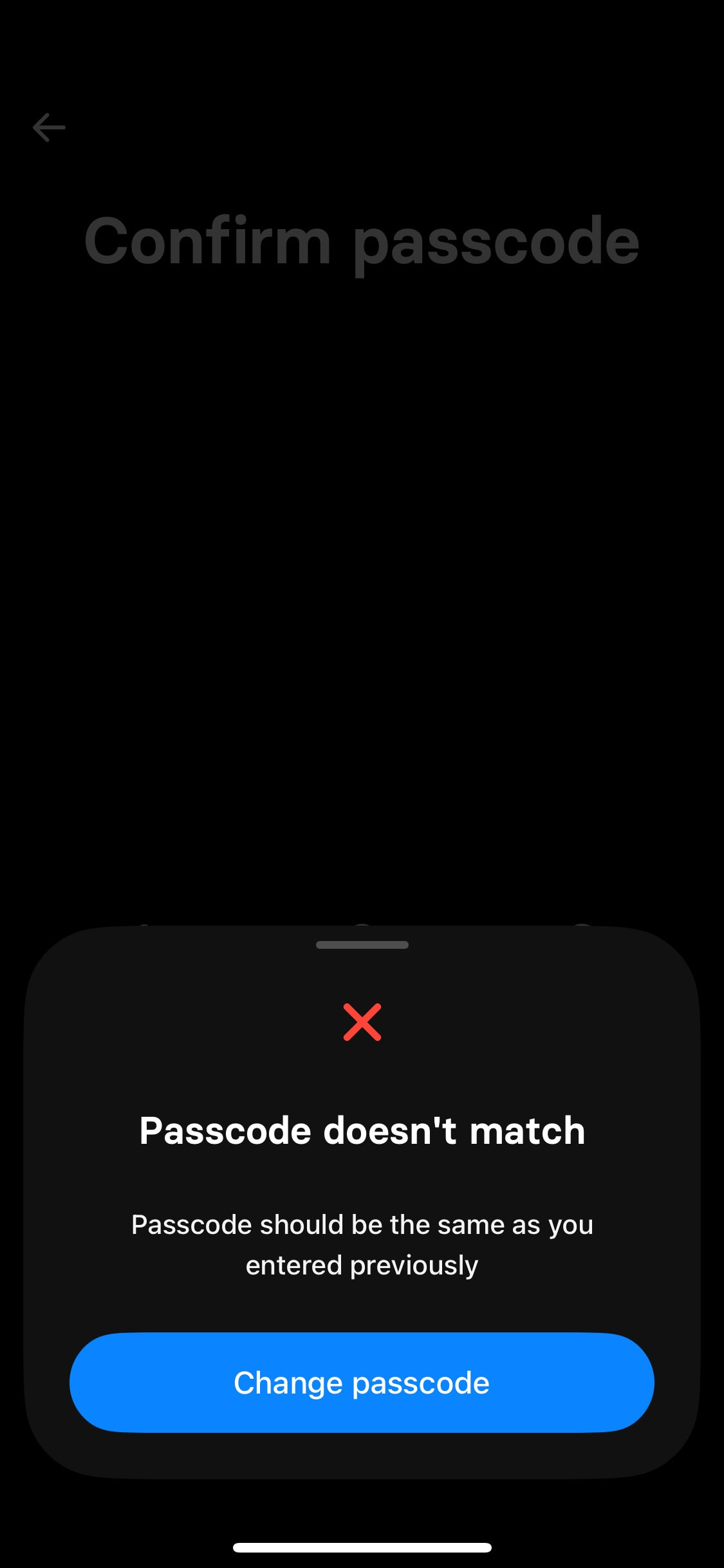 Revolut iOS screen 384