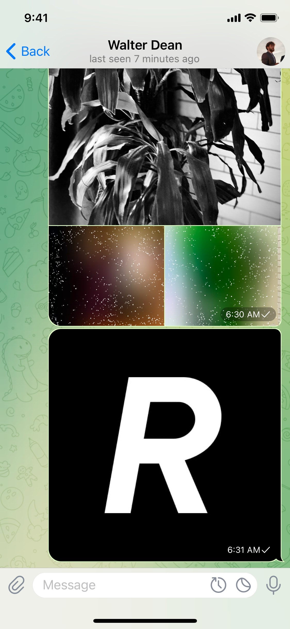 Telegram iOS screen 338