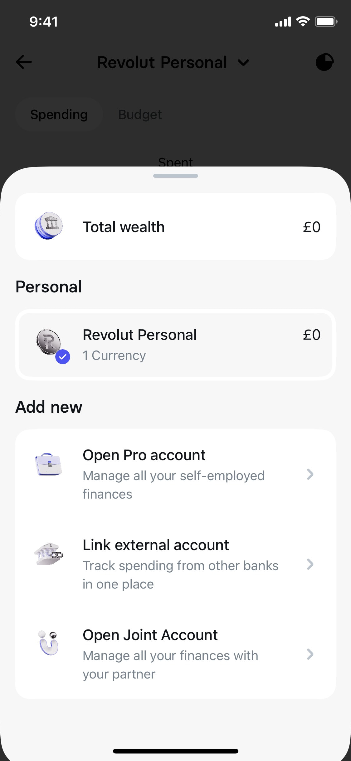 Revolut iOS screen 195