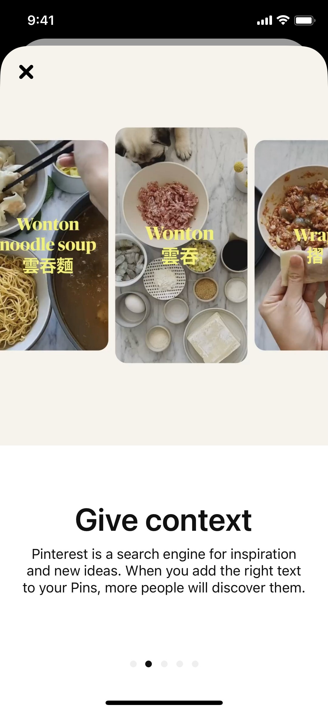 Pinterest iOS screen 60