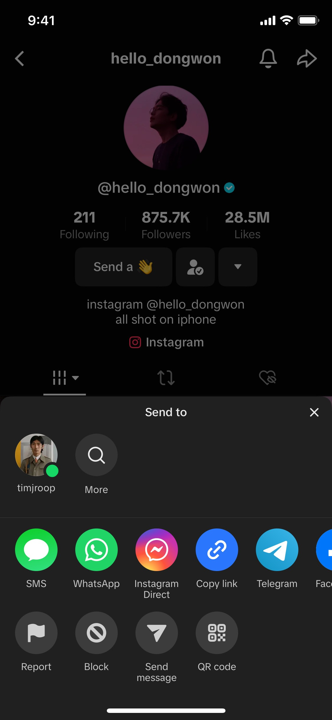 TikTok iOS screen 381