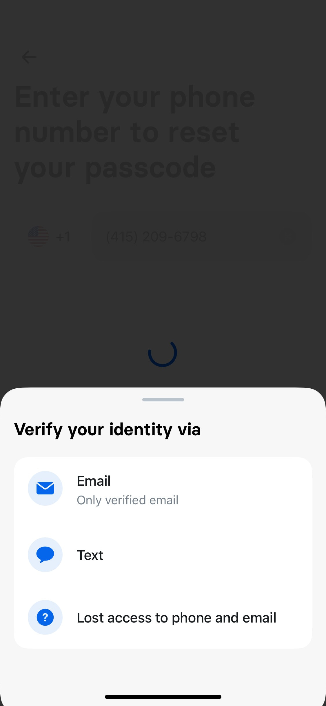 Revolut iOS screen 180