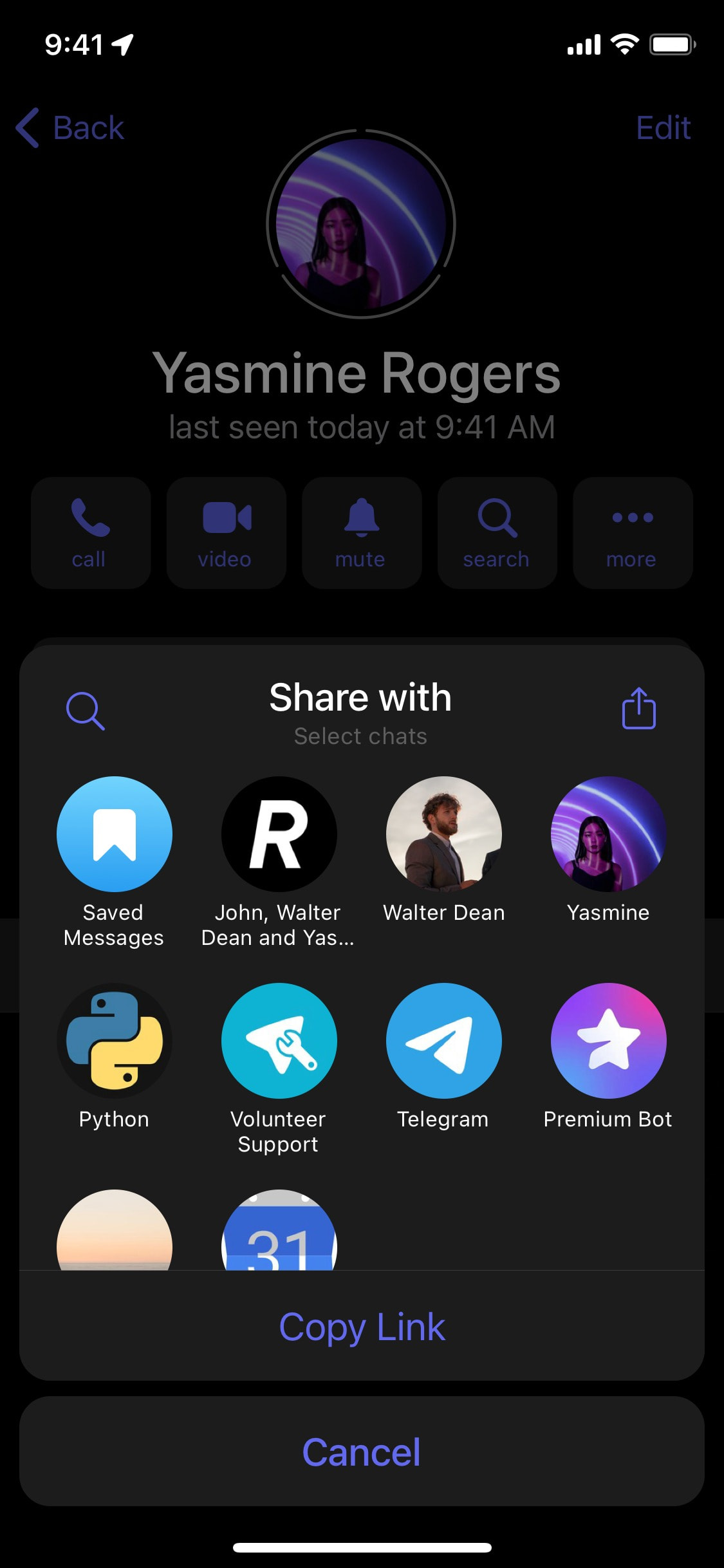Telegram iOS screen 608