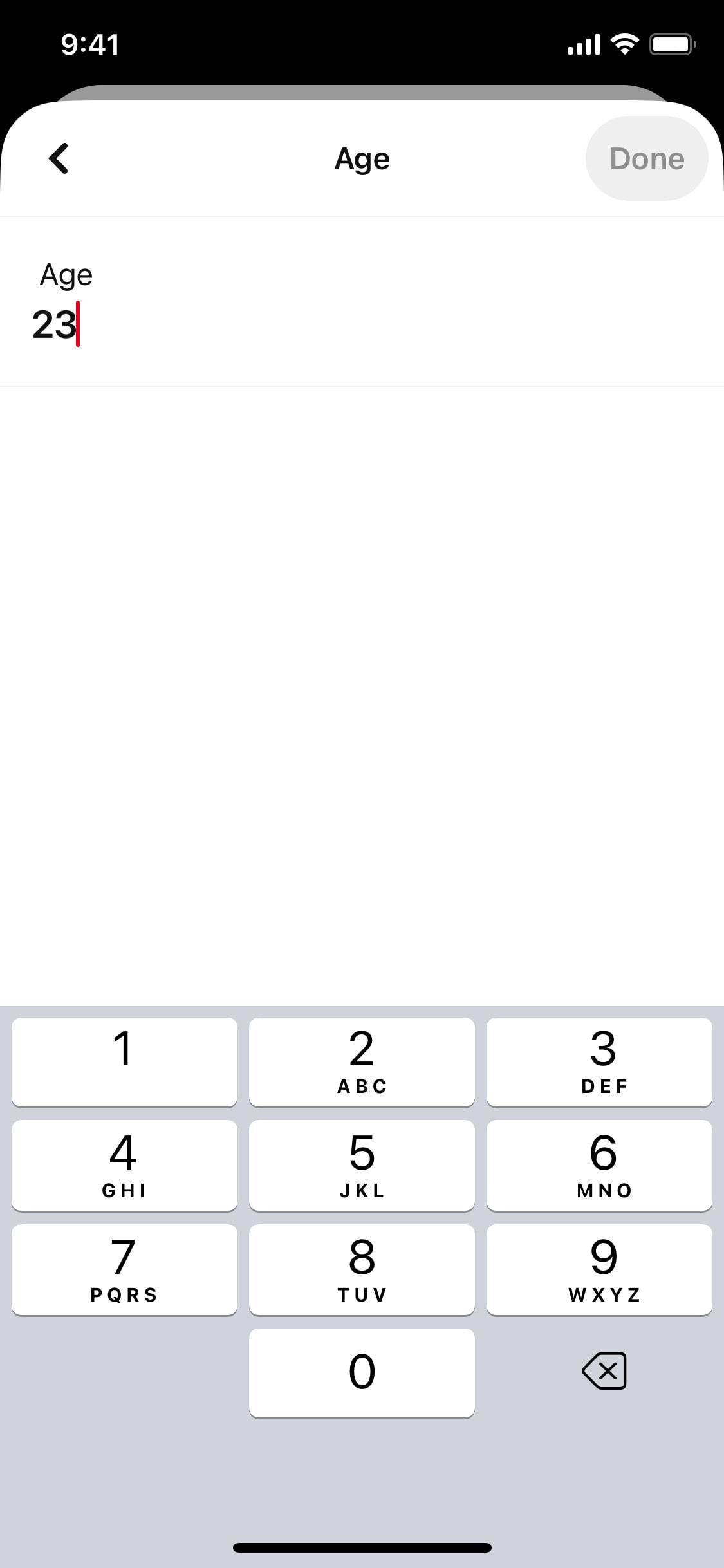 Pinterest iOS screen 244