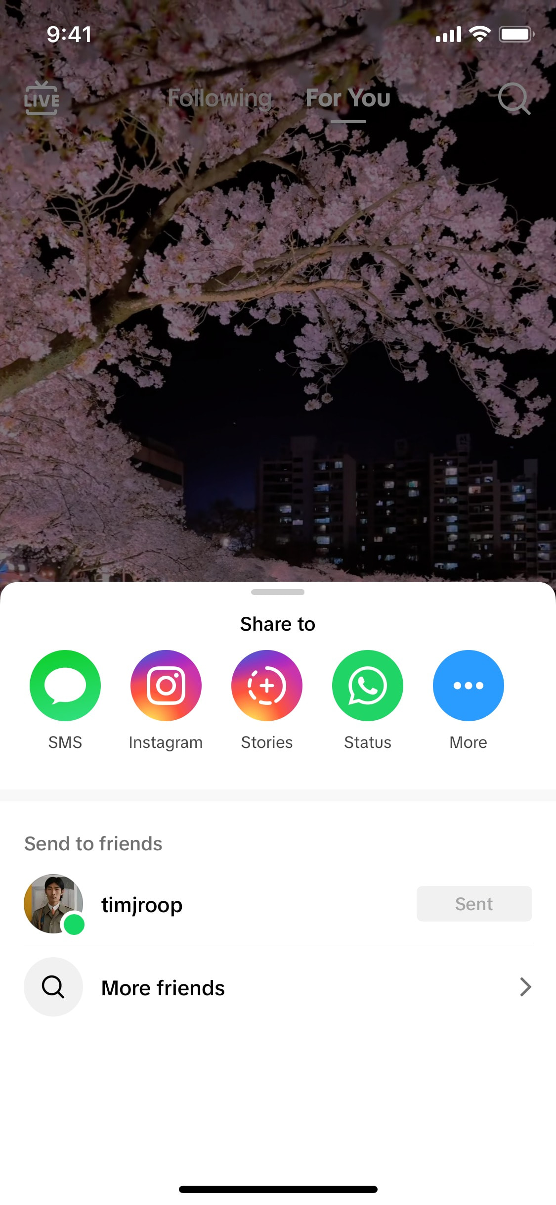 TikTok iOS screen 408