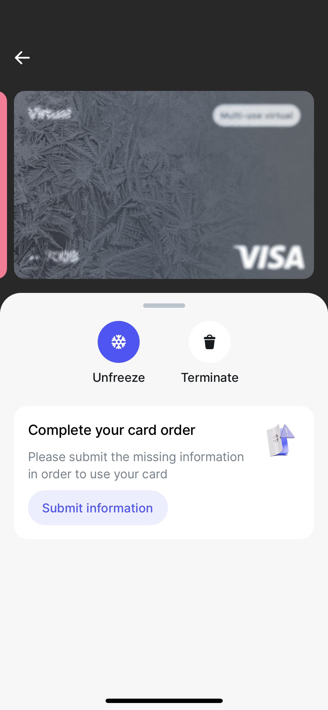 Revolut iOS screen 506