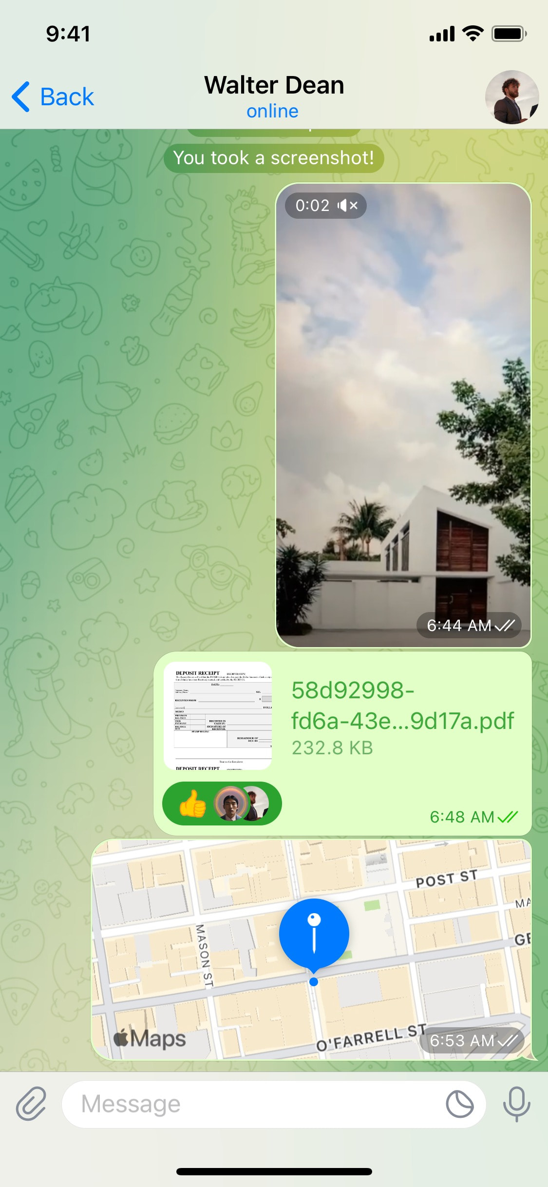 Telegram iOS screen 30