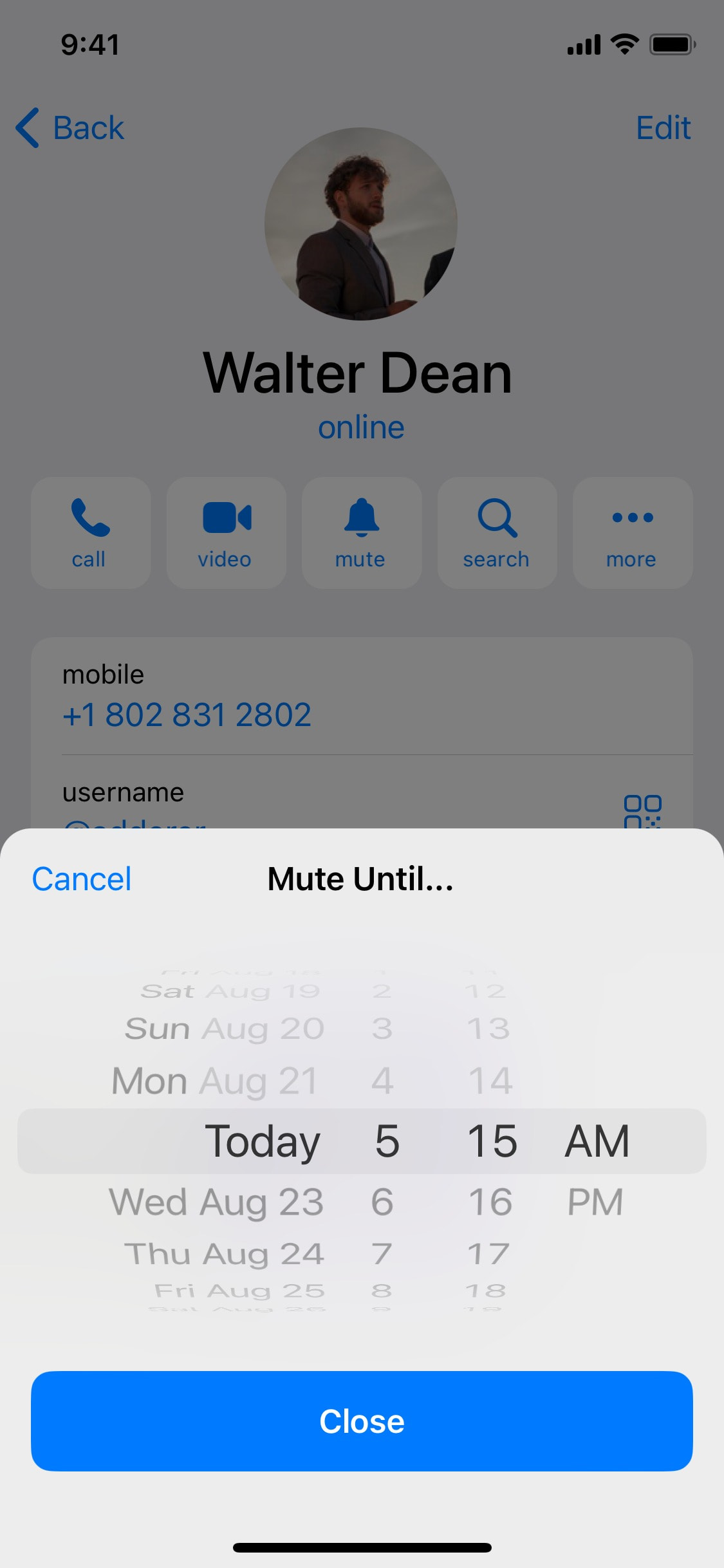 Telegram iOS screen 142