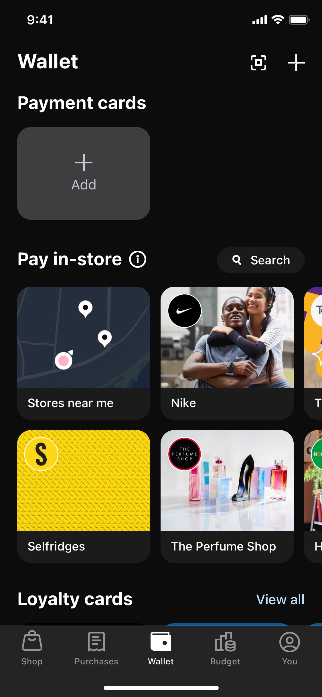 Klarna iOS screen 131