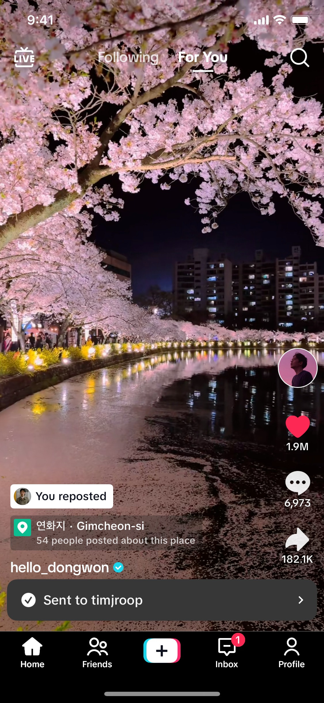 TikTok iOS screen 261