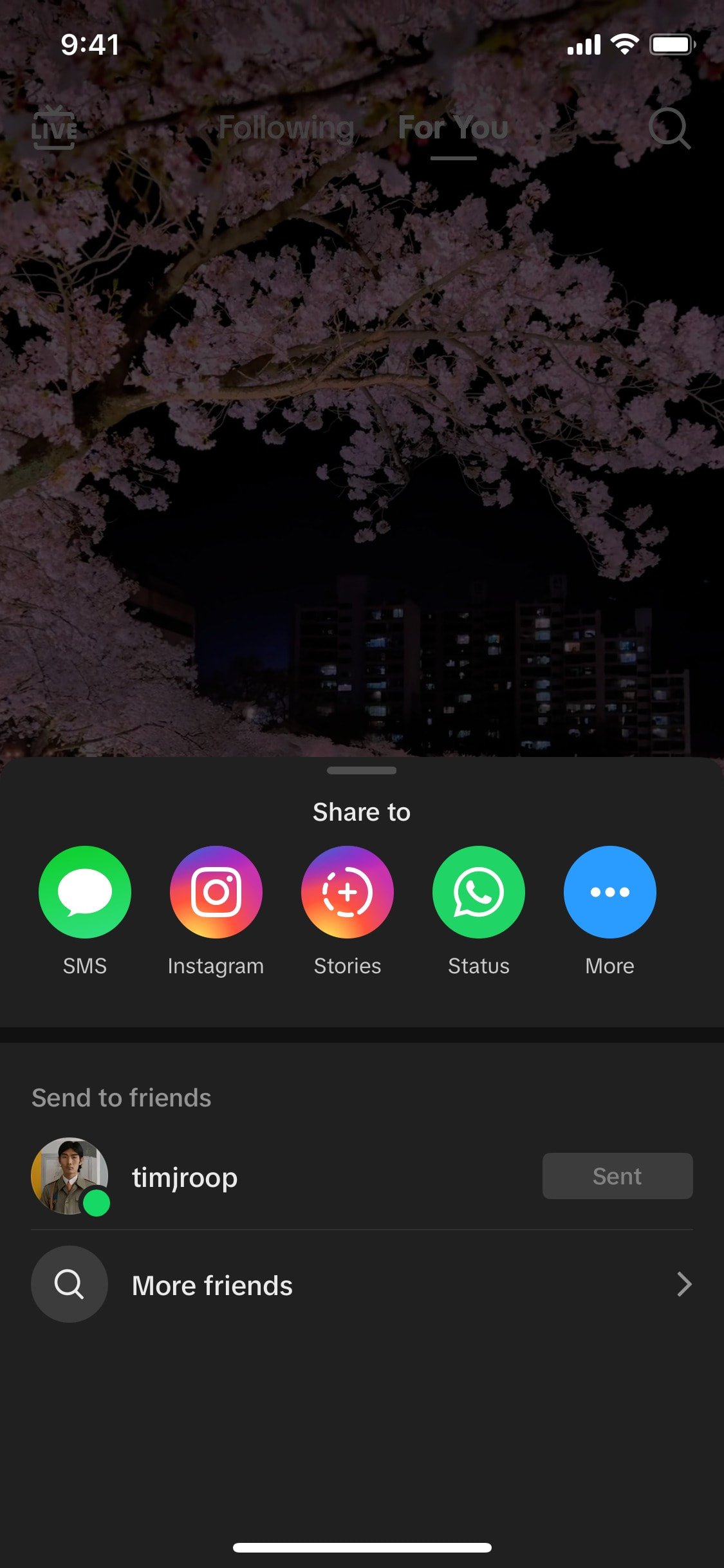 TikTok iOS screen 676