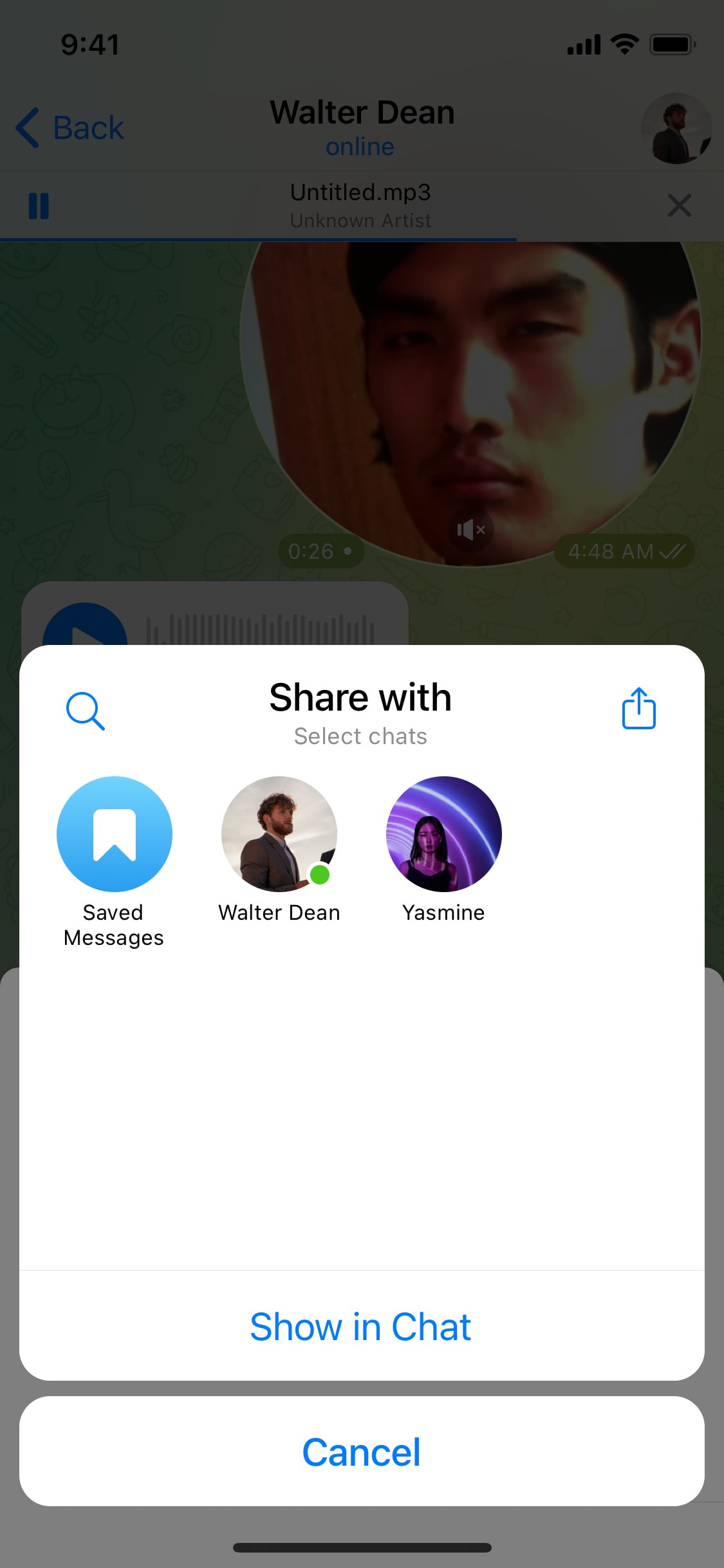 Telegram iOS screen 260