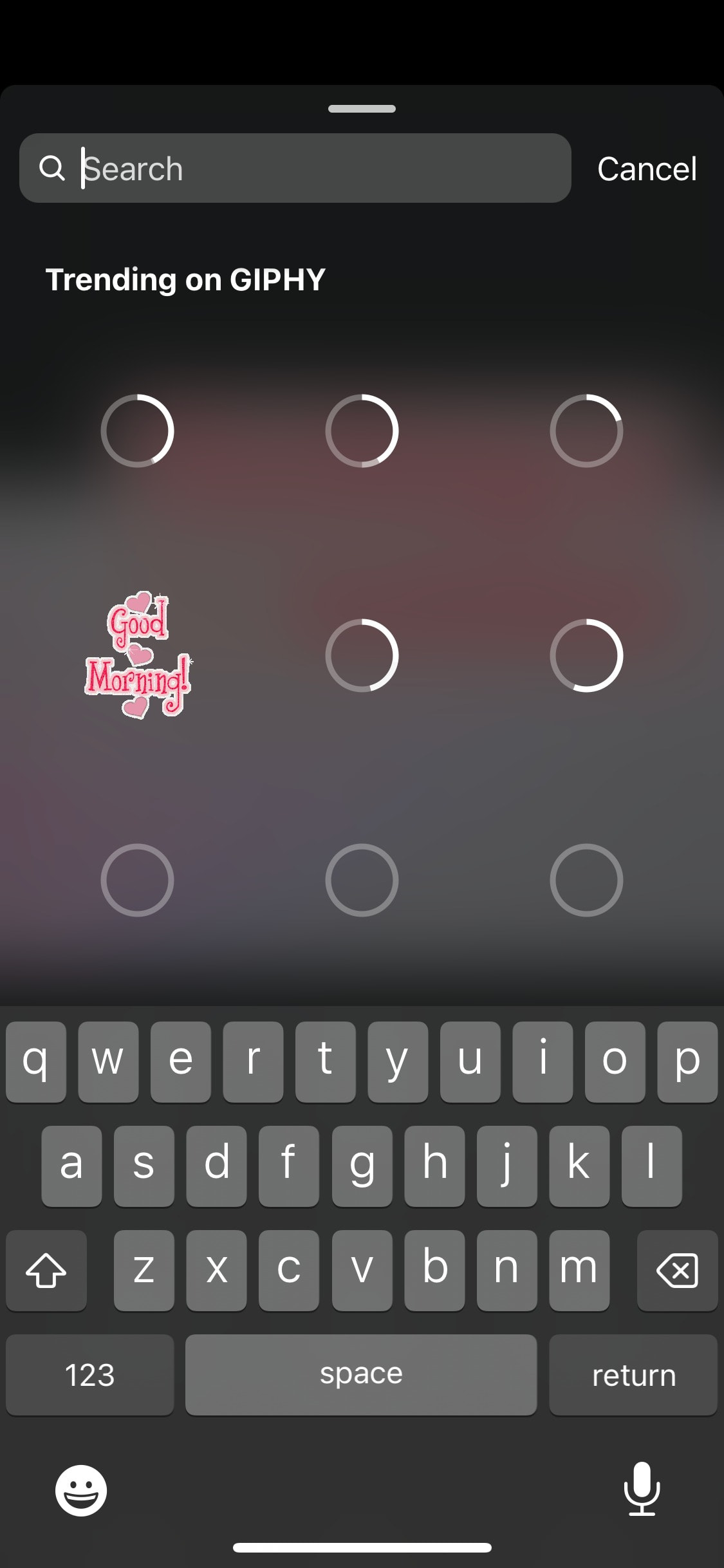 Instagram iOS screen 152